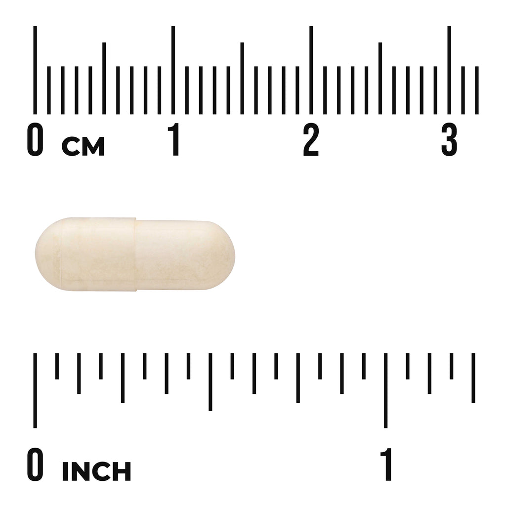 SWU758 | Beige capsule with size reference against cm and inch rulers - Thumbnail