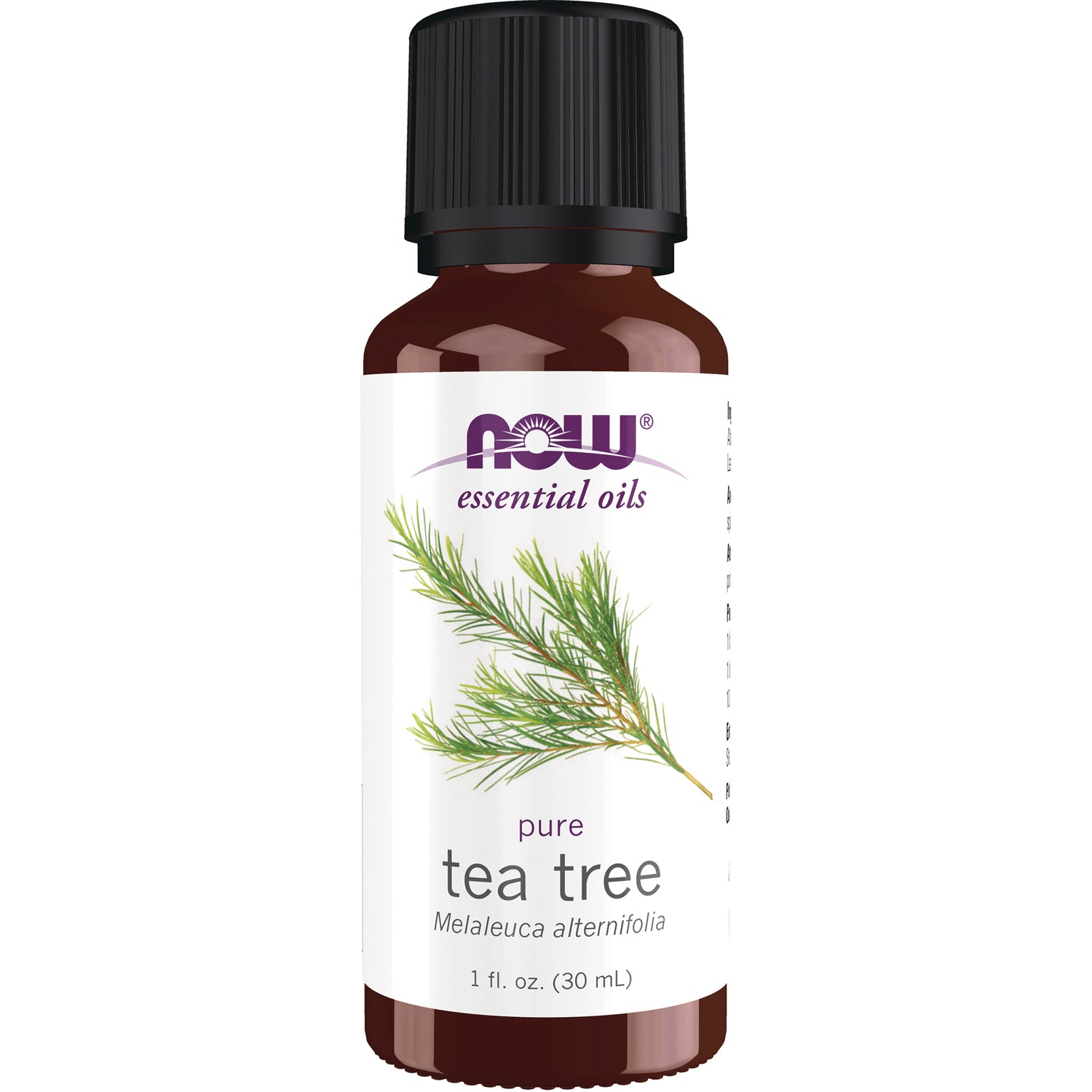 NWF103 | NOW essential oils pure tea tree 1 fl oz bottle with tea tree branch illustration