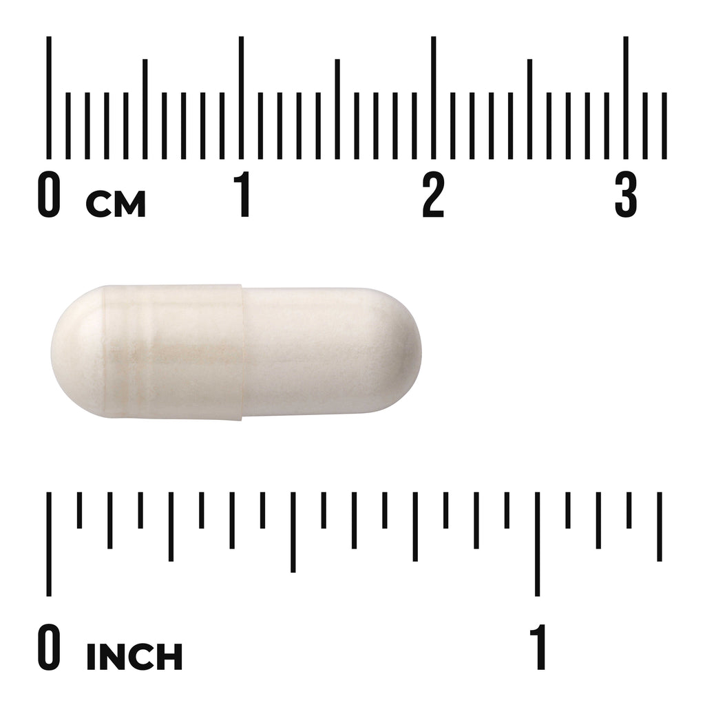 SW426 | Capsule size shown against inch and centimeter rulers - Thumbnail