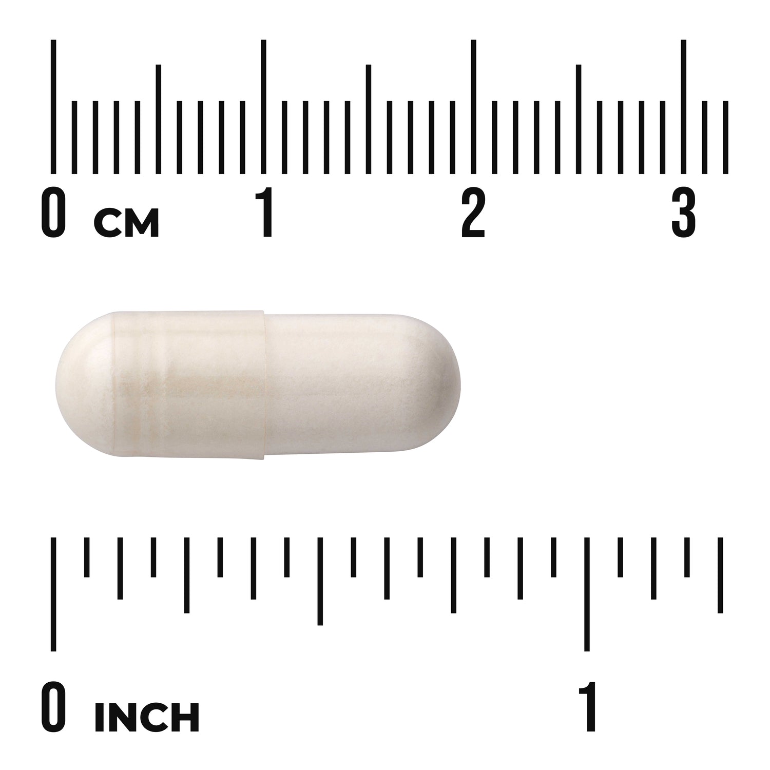 SW426 | Capsule size shown against inch and centimeter rulers