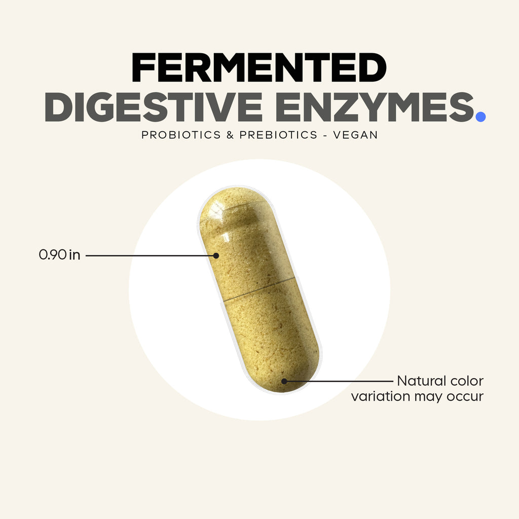 CDG037 | Fermented digestive enzymes capsule infographic showing 0.90 in size and natural color variation may occur - Thumbnail