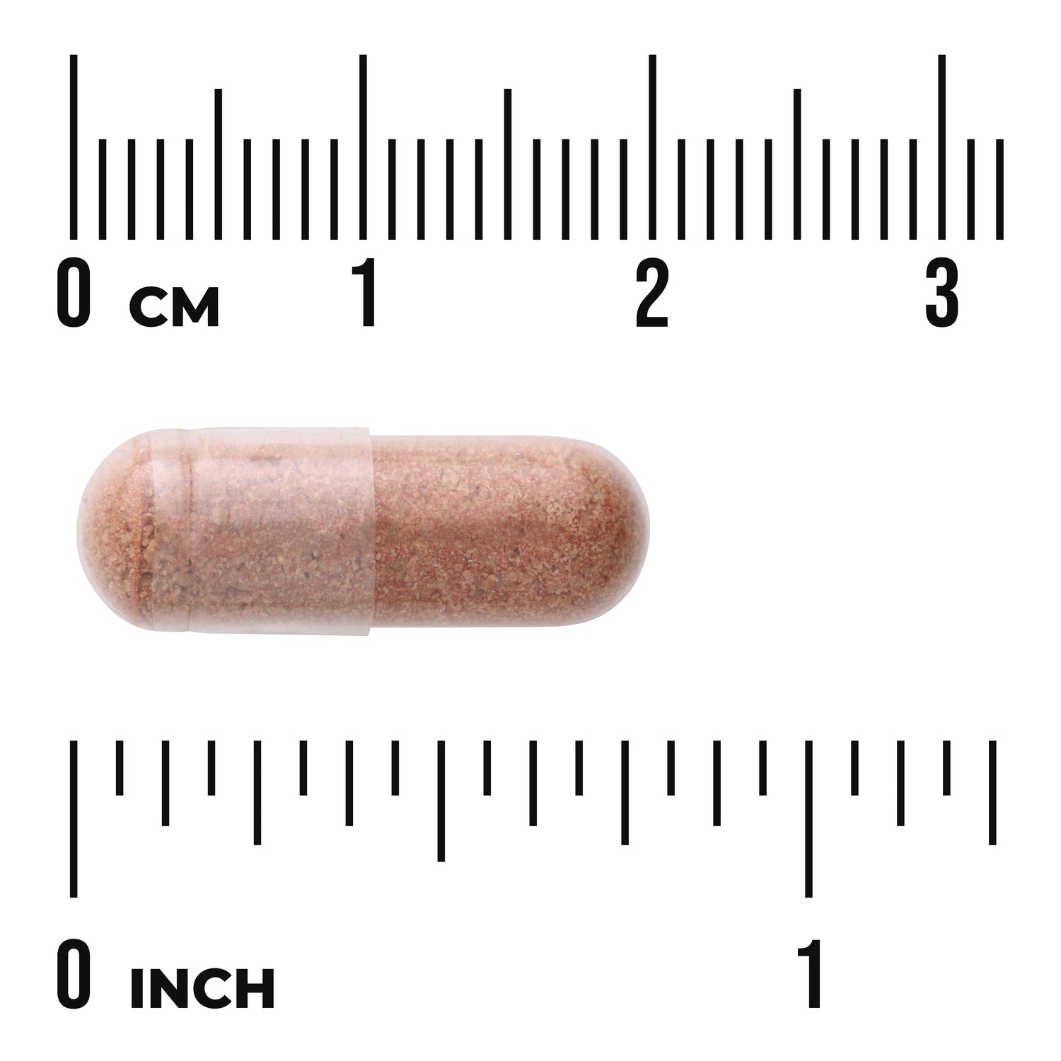 SWH160 | Clear gelatin capsule filled with brown powder shown against centimeter and inch rulers for scale