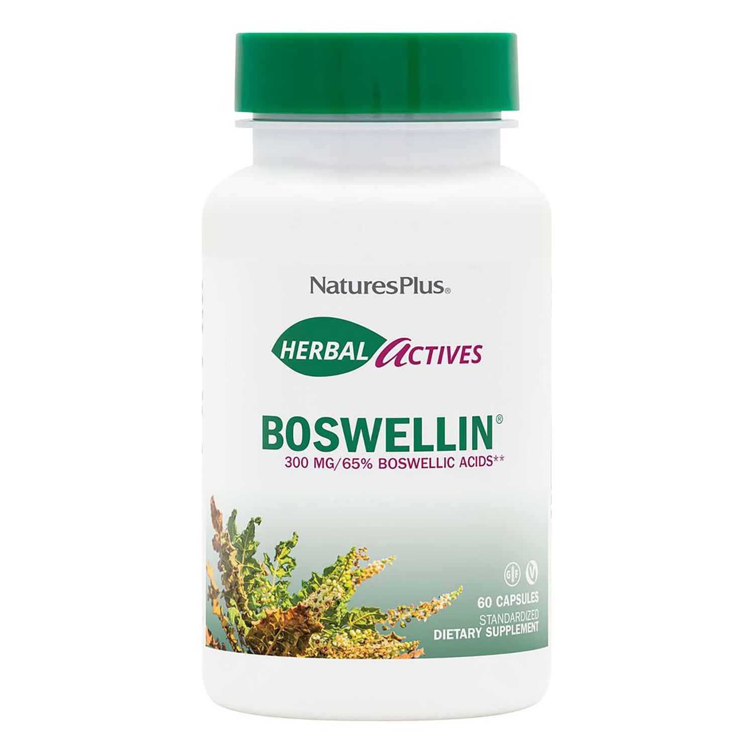 NTP307 | NaturesPlus Boswellin 300 mg bottle, standardized botanical supplement, 60 vegetarian capsules