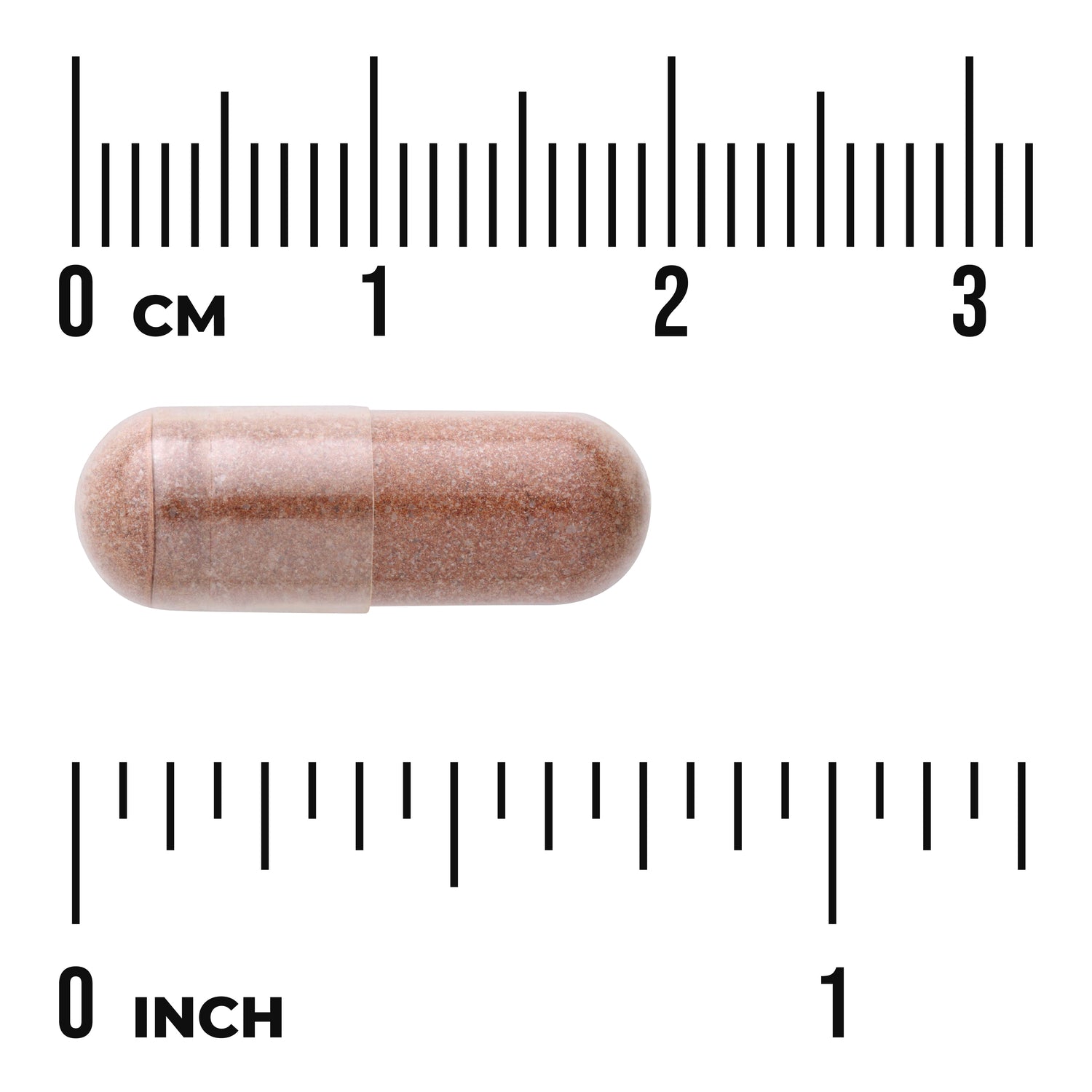 SWU234 | Brown capsule shown with centimeter and inch rulers for size reference