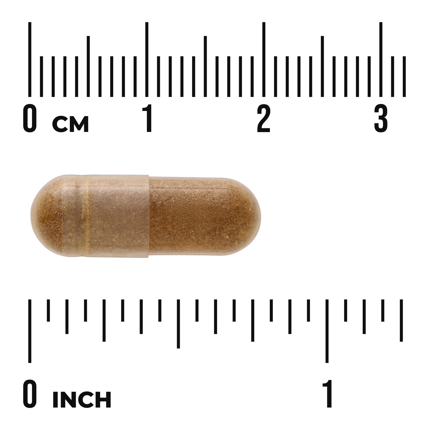 SWU1109 | Brown capsule shown with size ruler in cm and inches