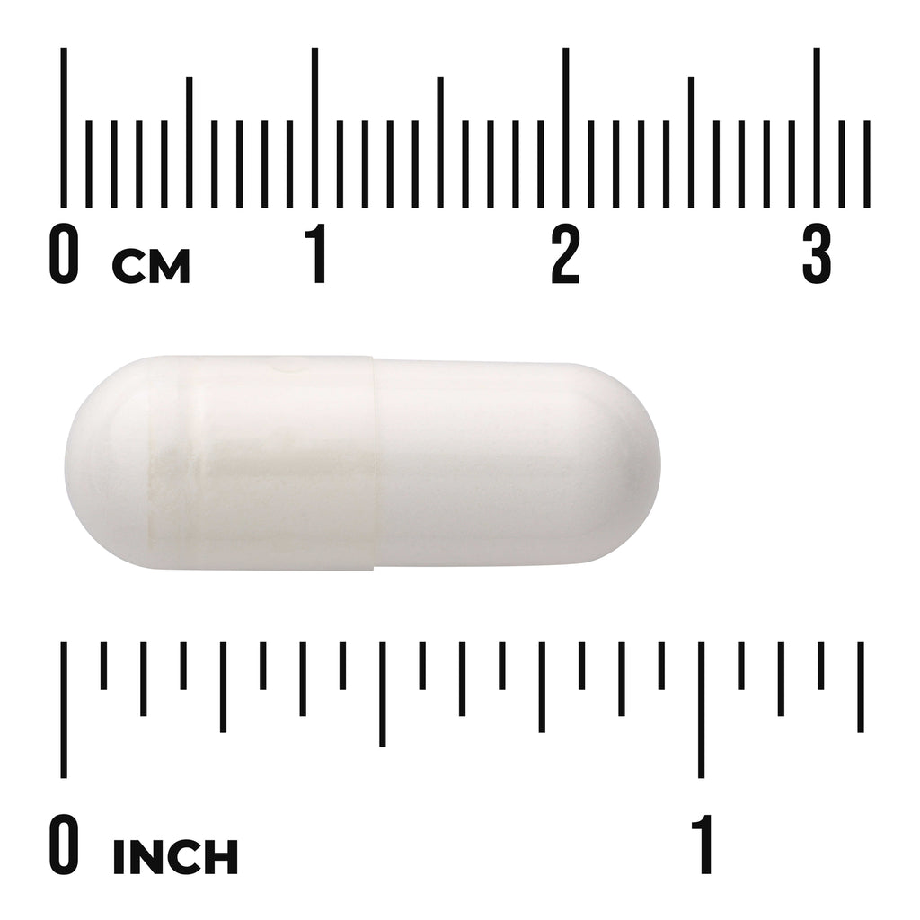 SW1930 | White capsule with size scale in inches and centimeters - Thumbnail