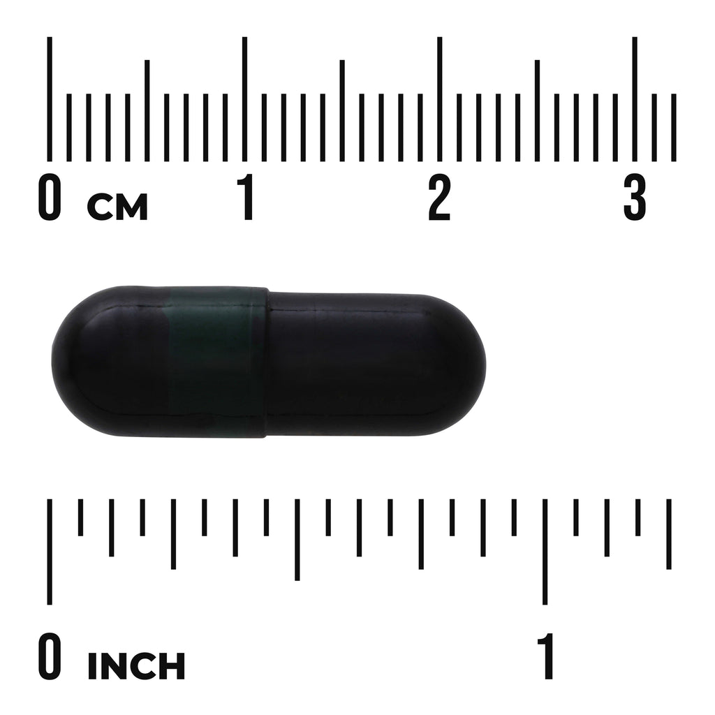 SWR056 | Black capsule shown with size scale in inches and centimeters - Thumbnail