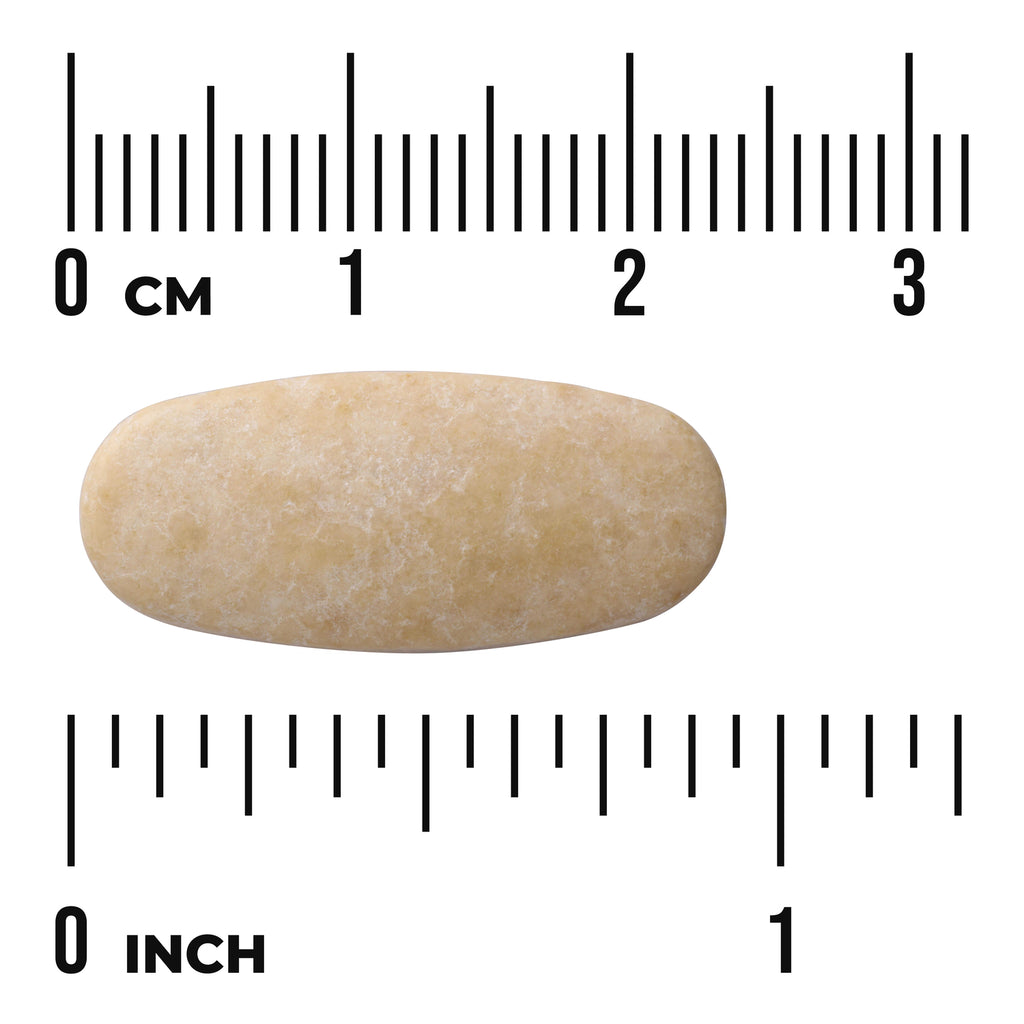 SW842 | Oval beige tablet with size shown against cm and inch rulers - Thumbnail