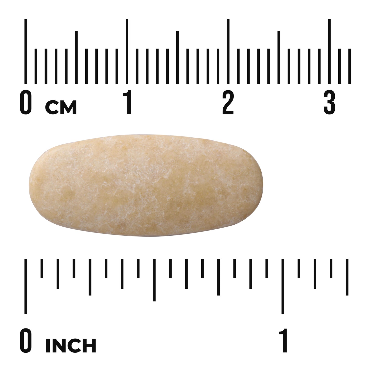 SW842 | Oval beige tablet with size shown against cm and inch rulers
