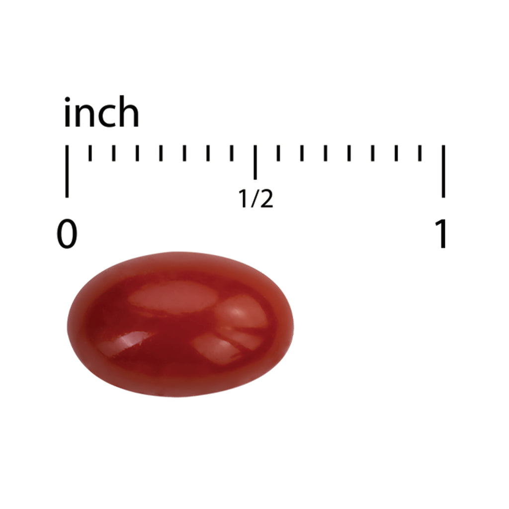 EUR071 | red oval softgel beside inch ruler scale from 0 to 1 with 1/2 mark - Thumbnail