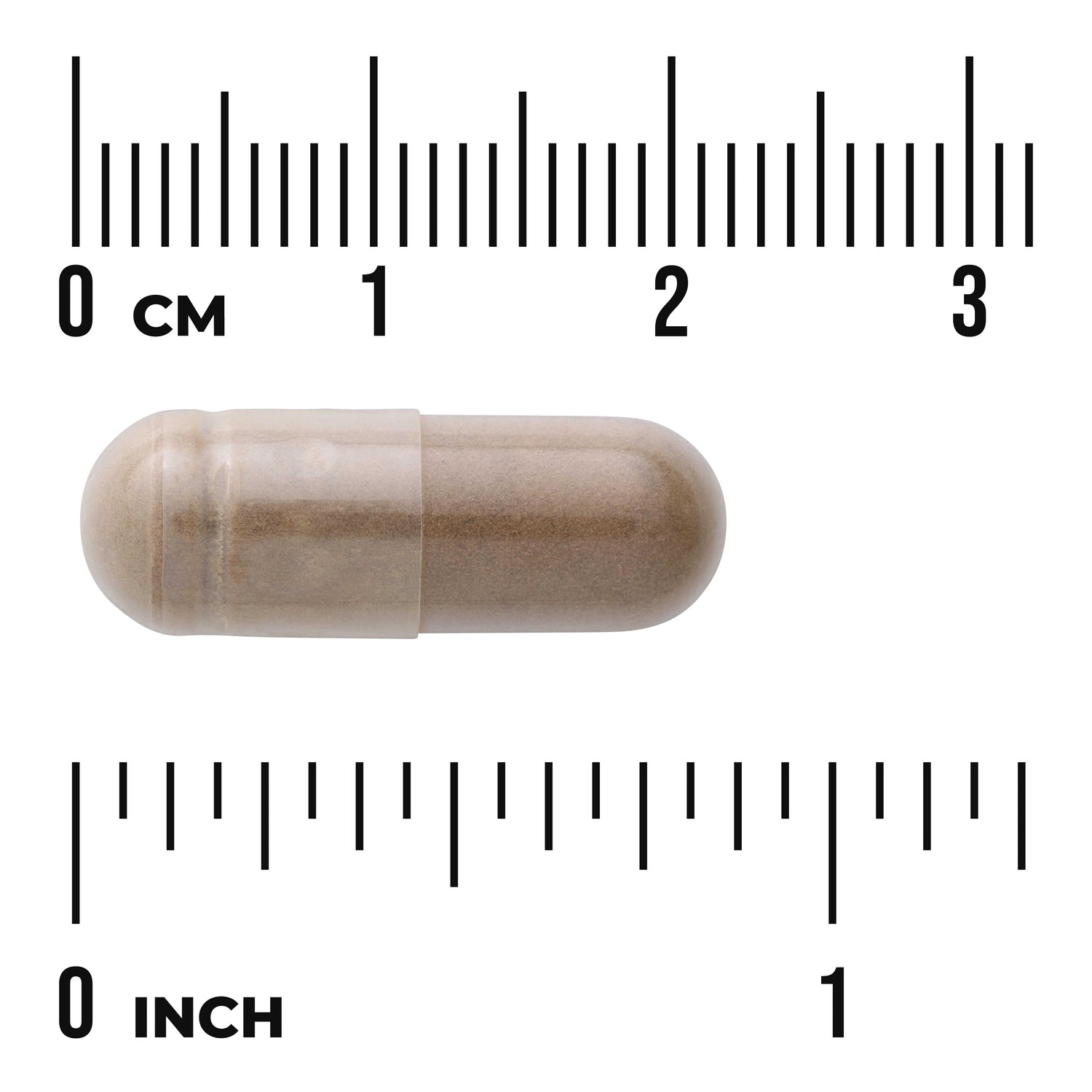 SW1039 | Brown supplement capsule with size shown against cm and inch ruler