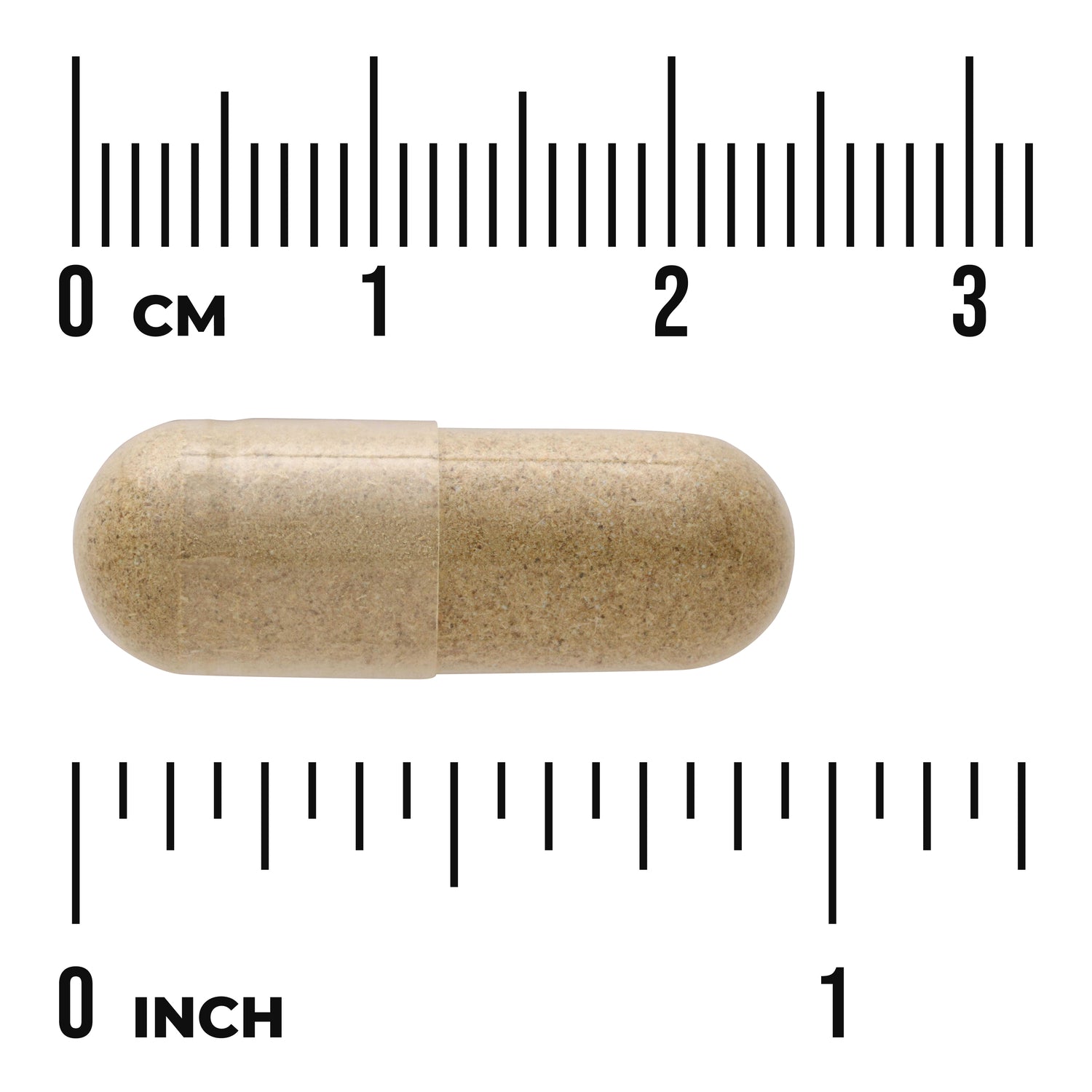 SW1693 | Beige capsule shown against centimeter and inch rulers