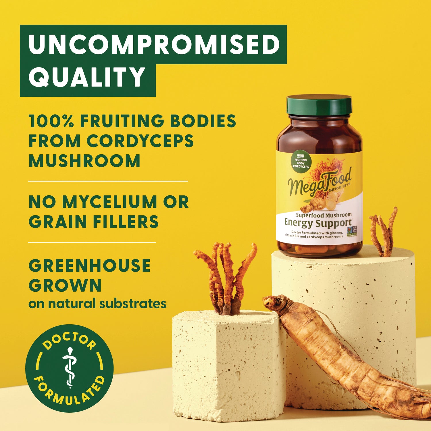 MGF141 | MegaFood Energy Support bottle with callouts 100% fruiting bodies from cordyceps mushroom and greenhouse grown