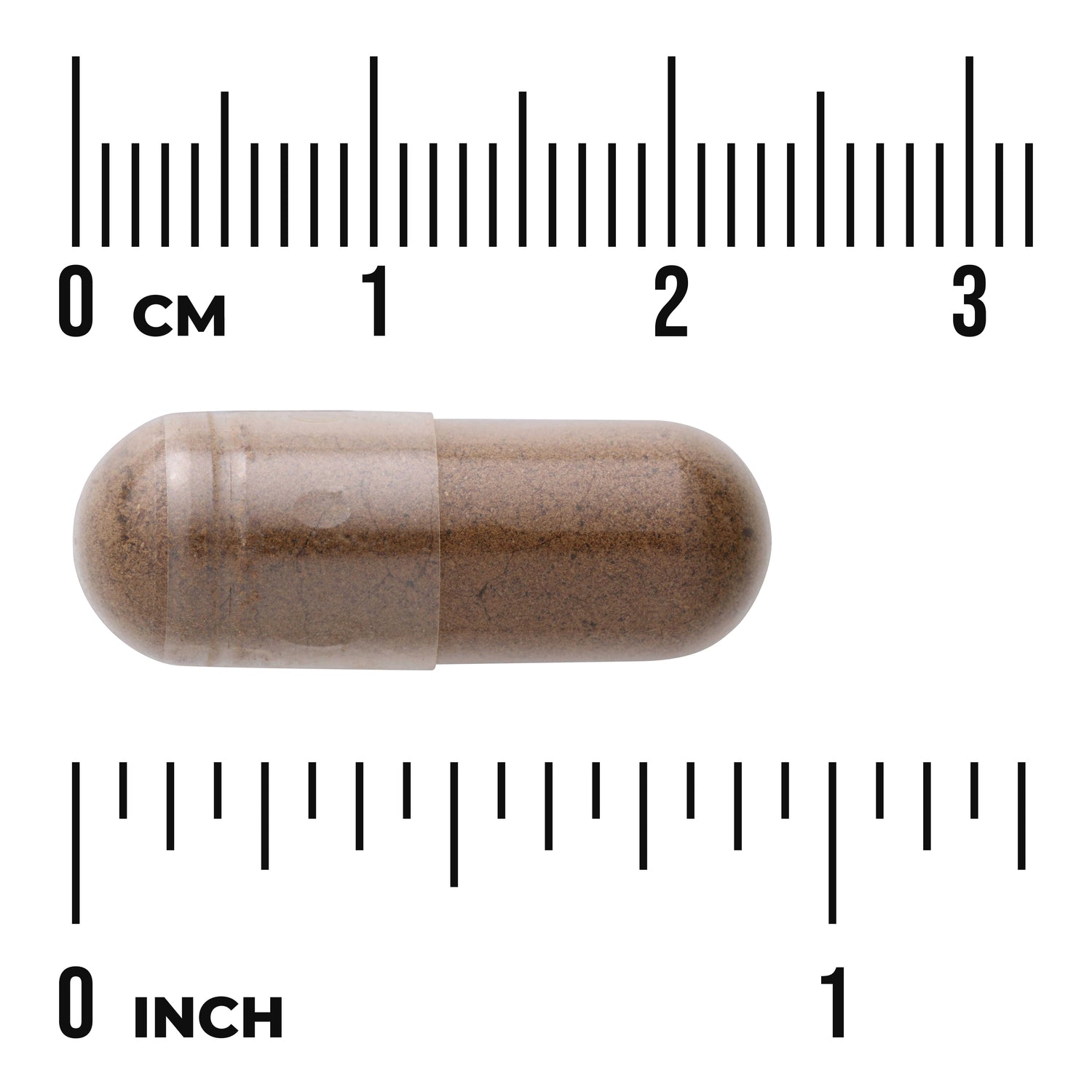 SWU124 | Brown capsule on measurement rulers showing scale with visible text '0 CM' and '0 INCH'