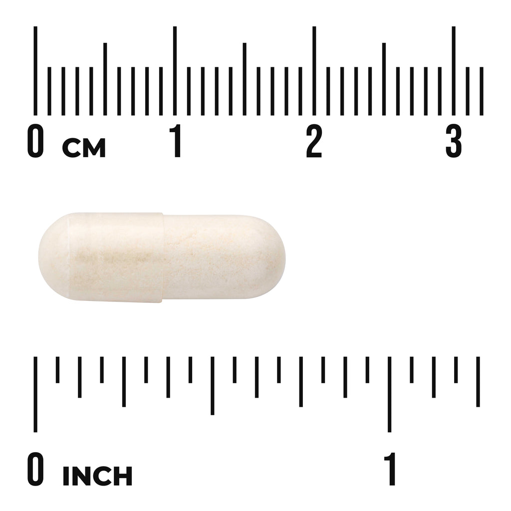 SWU862 | Beige capsule with centimeter and inch rulers for size reference - Thumbnail
