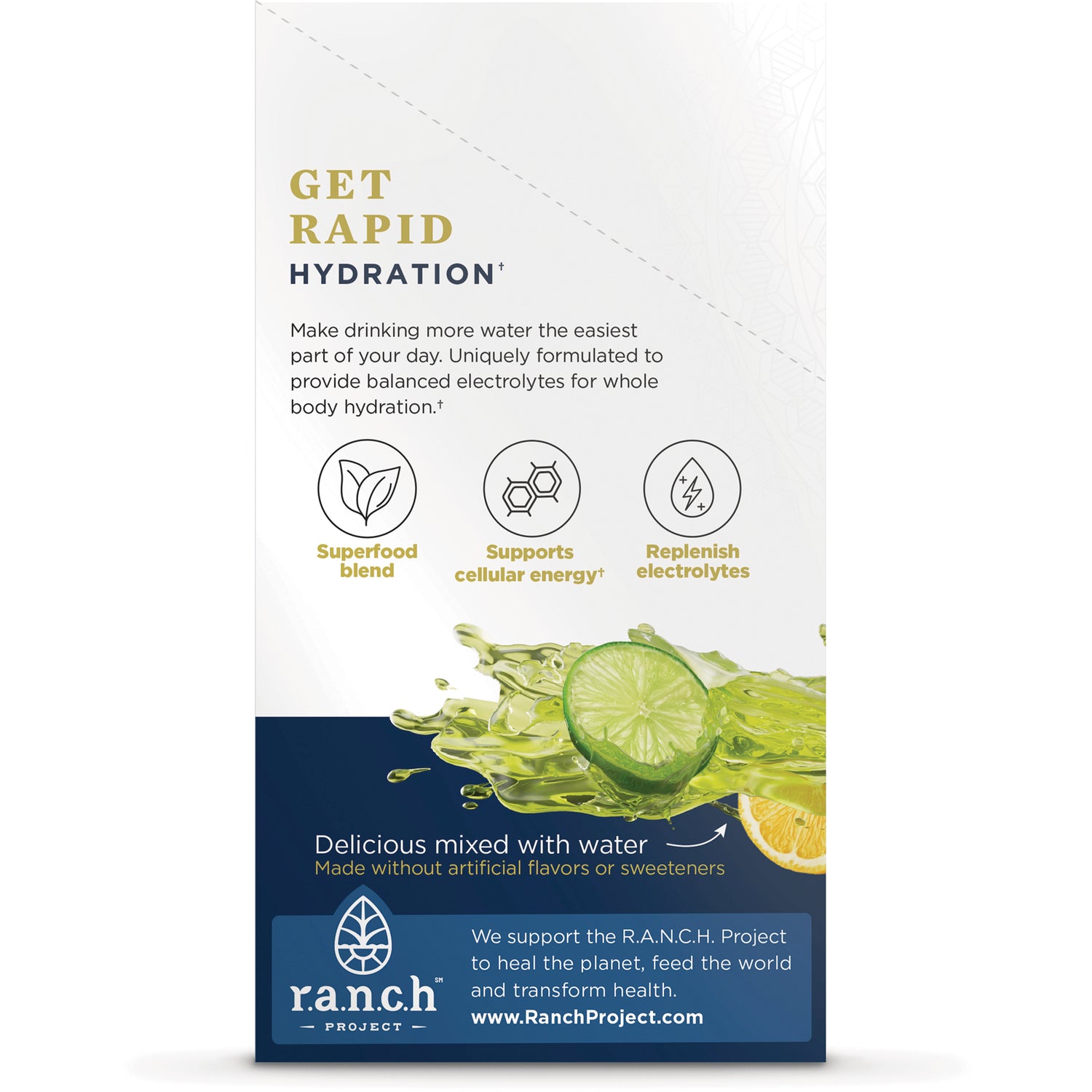 ATN143 | Back panel reading GET RAPID HYDRATION with icons for superfood blend, cellular energy and replenish electrolytes and a lime splash