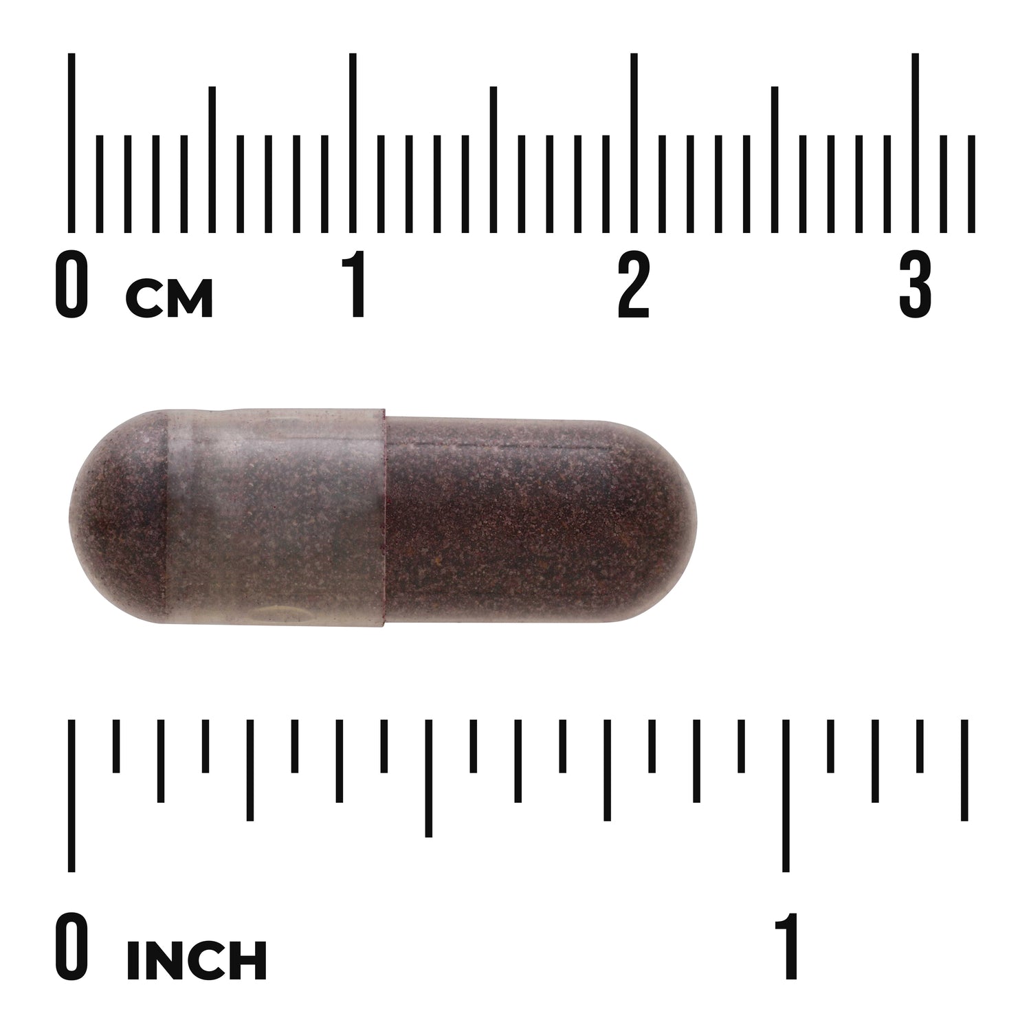 SW1338 | Brown two-piece capsule on white background with centimeter and inch rulers showing size