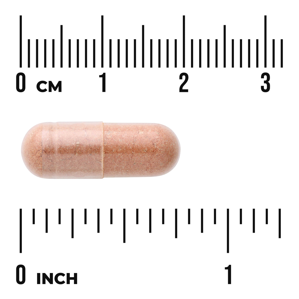 SWU175 | Tan capsule shown with size scale between 03 cm and 01 inch rulers - Thumbnail