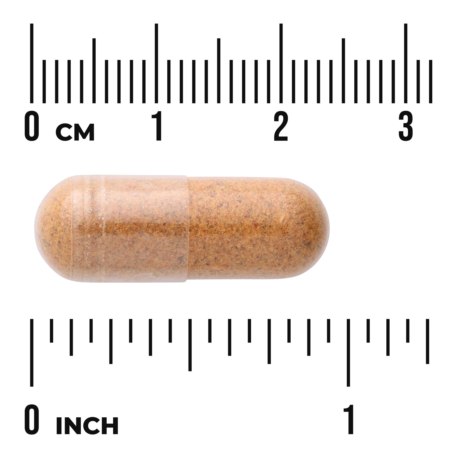 SW1659 | Brown capsule shown with centimeter and inch rulers for size reference
