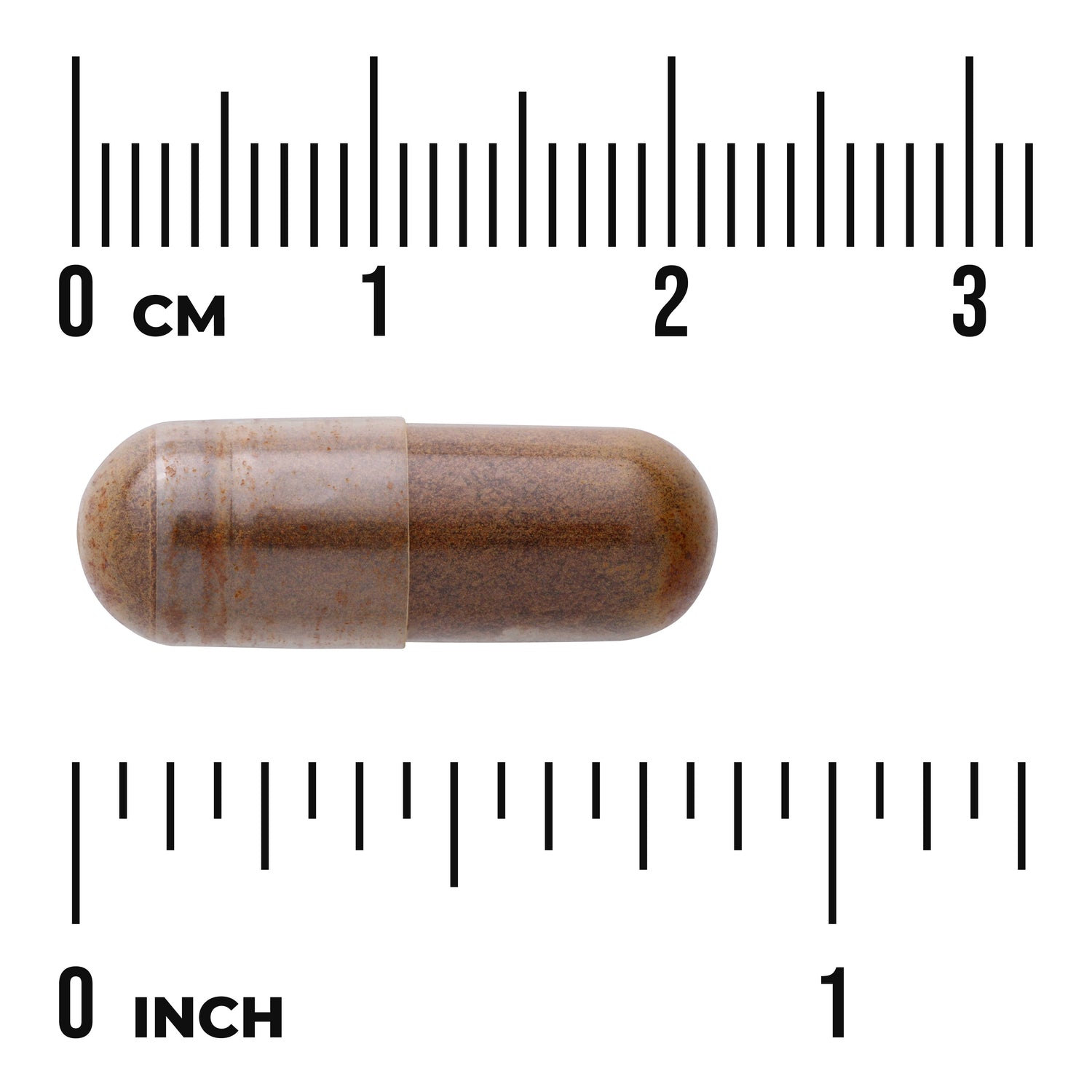 SW1879 | Brown capsule shown against ruler with centimeter and inch markings to indicate size