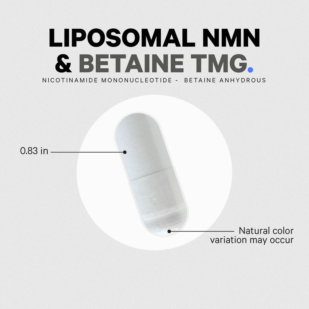 CDG039 | Pill size image - Thumbnail