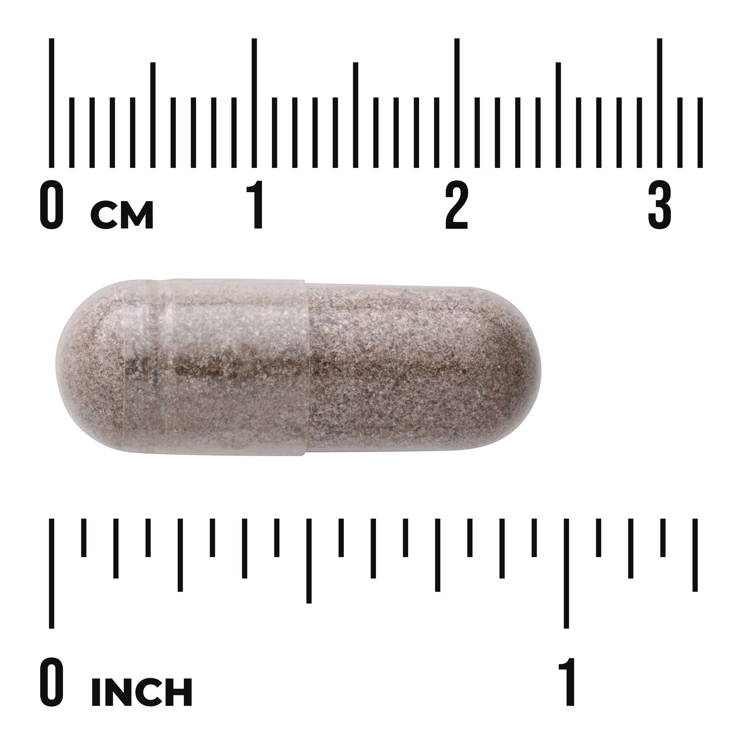 SW1808 | Transparent capsule filled with brown powder between centimeter and inch rulers showing size