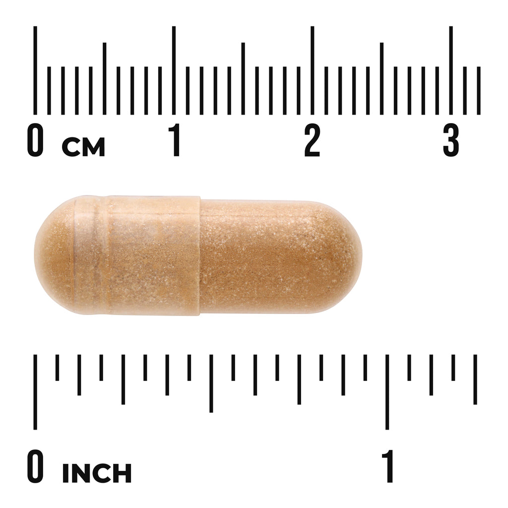 SWR085 | Brown two-piece capsule shown next to centimeter and inch rulers to indicate size - Thumbnail
