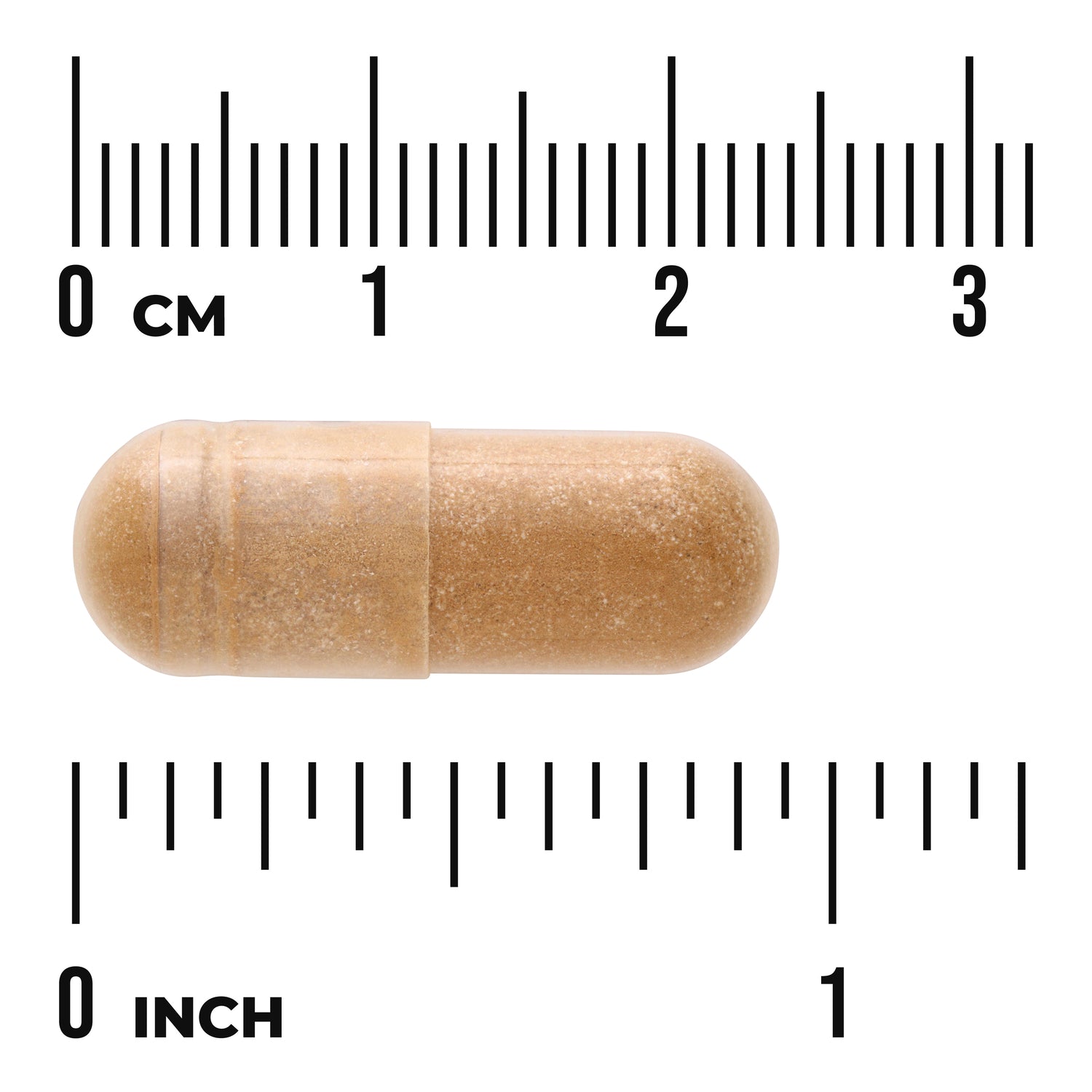 SWR085 | Brown two-piece capsule shown next to centimeter and inch rulers to indicate size