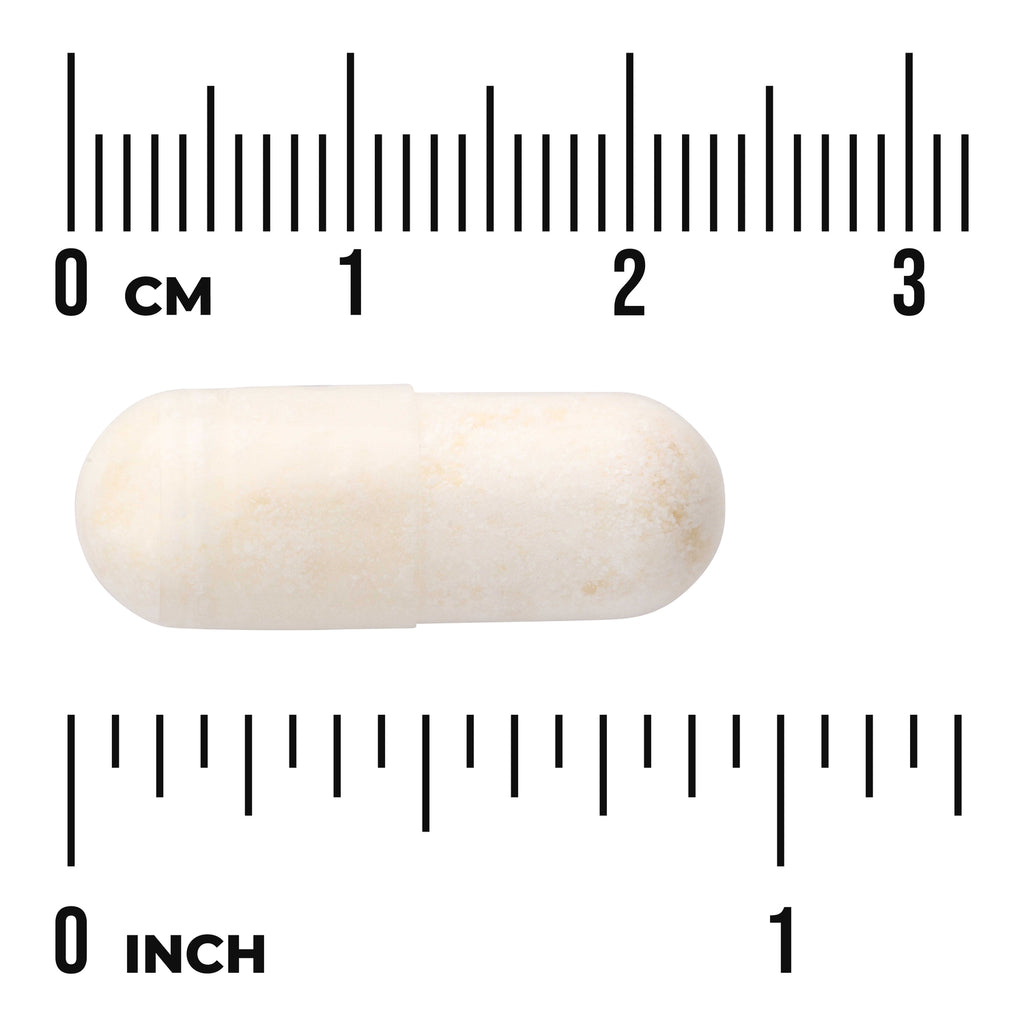 SWA048 | White capsule shown to scale with cm and inch rulers - Thumbnail