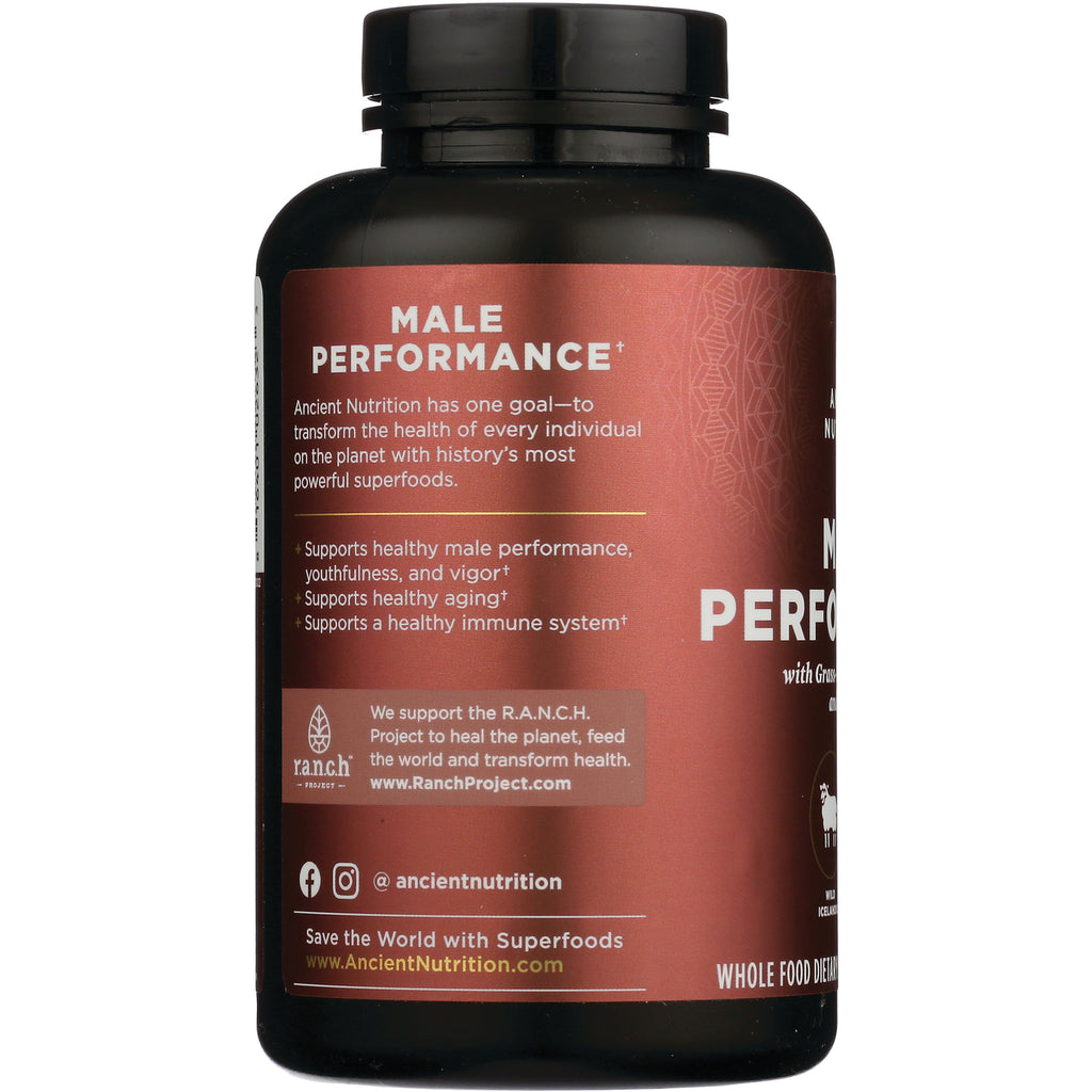ATN100 | Back label of brown supplement bottle reading MALE PERFORMANCE with benefits list and RanchProject and AncientNutrition URLs - Thumbnail