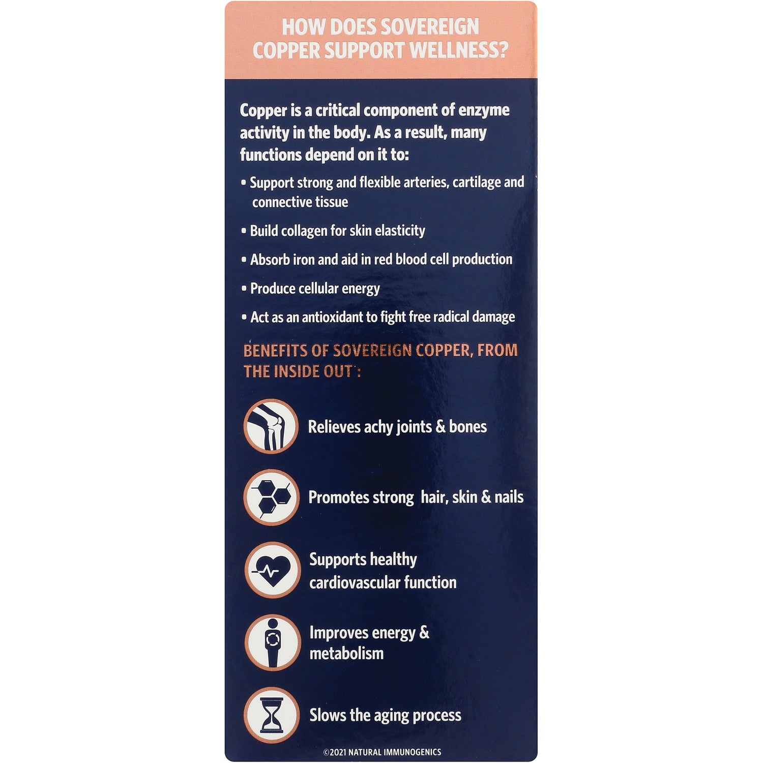 SSL013 | Infographic: How Sovereign Copper supports wellness; joints, hair/skin/nails, cardiovascular, energy, aging