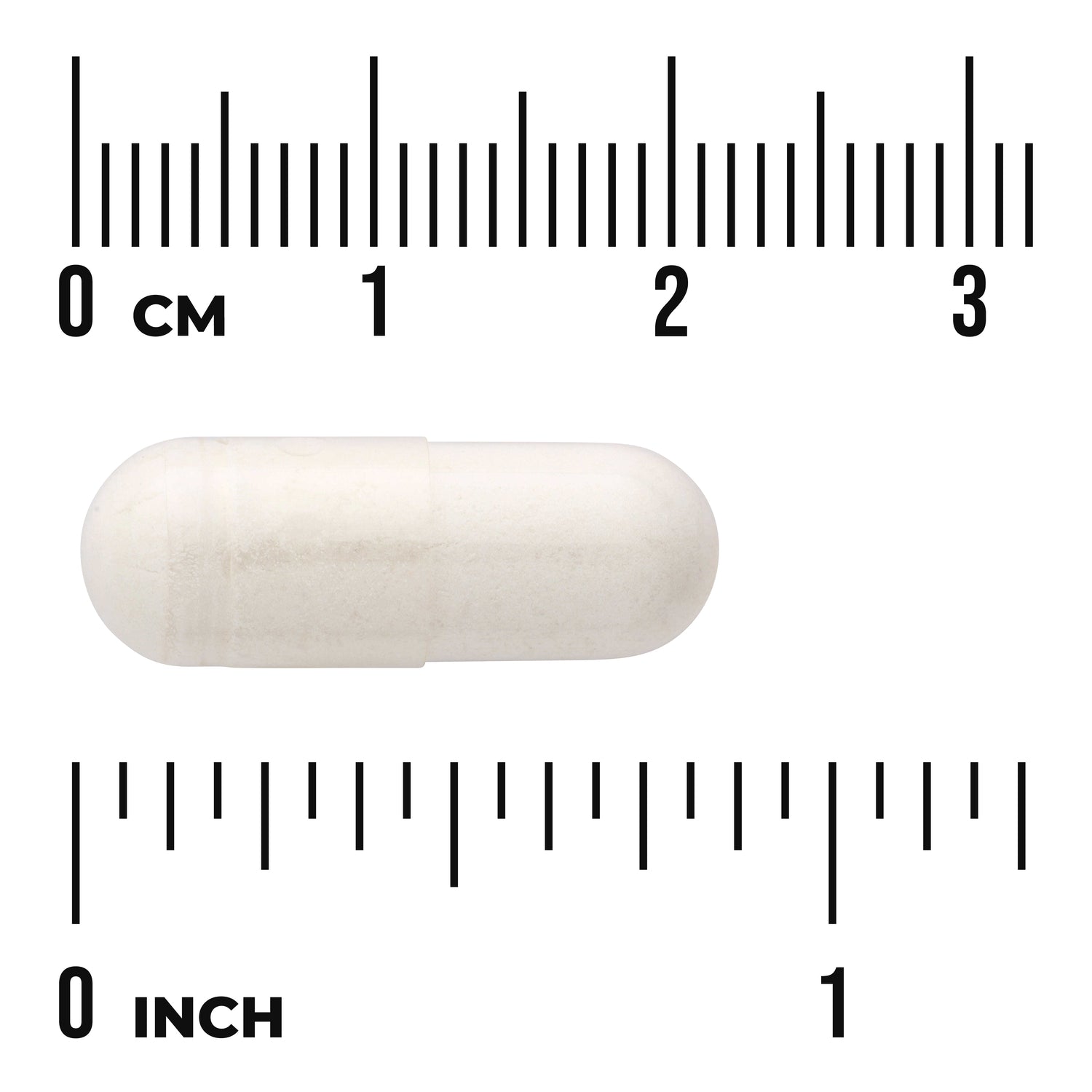 SW1279 | White capsule on measurement scale showing about 2 cm length, with visible "0 CM" and "0 INCH" markings