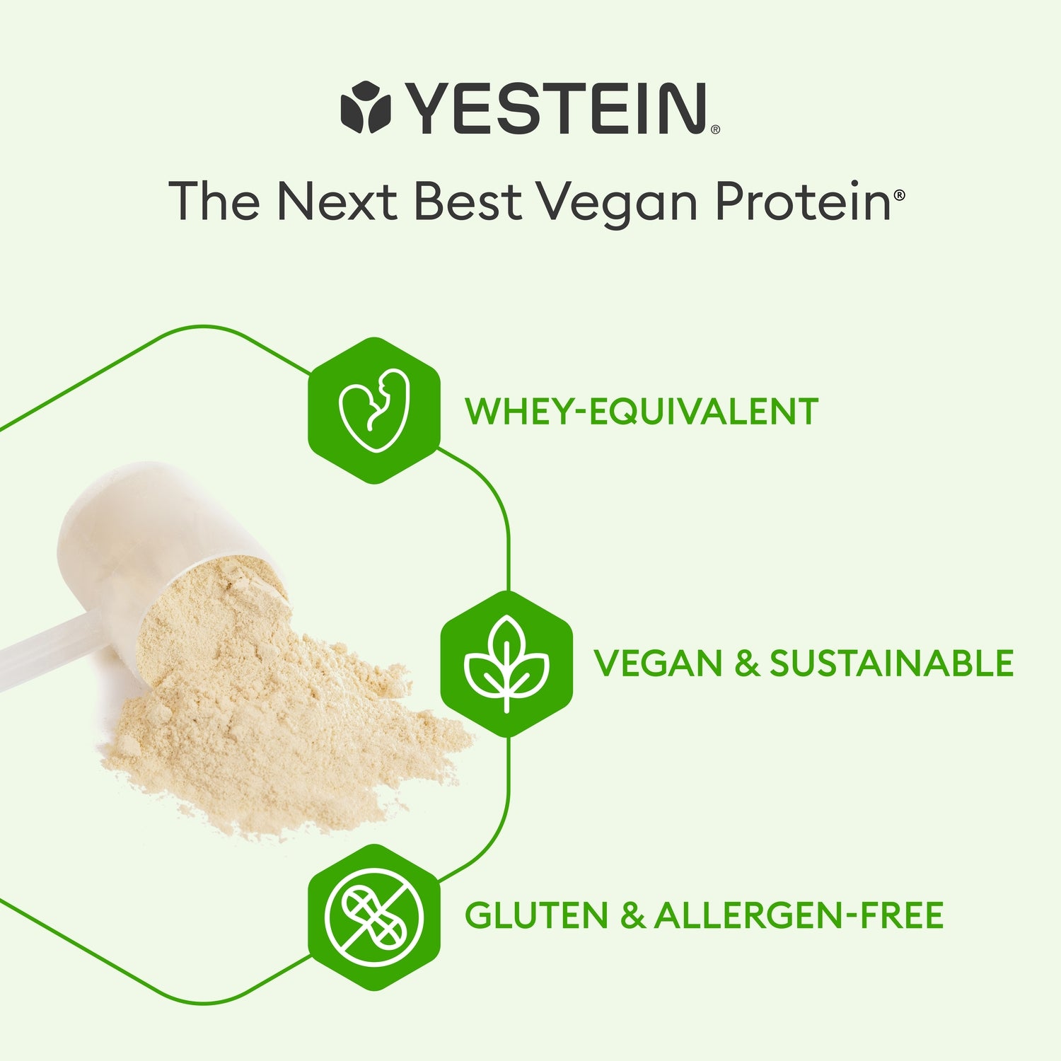 SW1918 | Yestein protein powder scoop with text: Whey-equivalent, Vegan & Sustainable, Gluten & Allergen-free