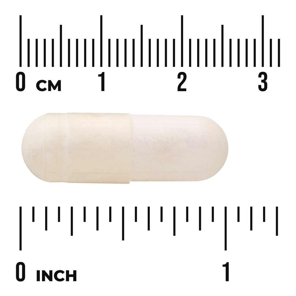 SW1045 | White capsule size shown against ruler in cm and inches - Thumbnail