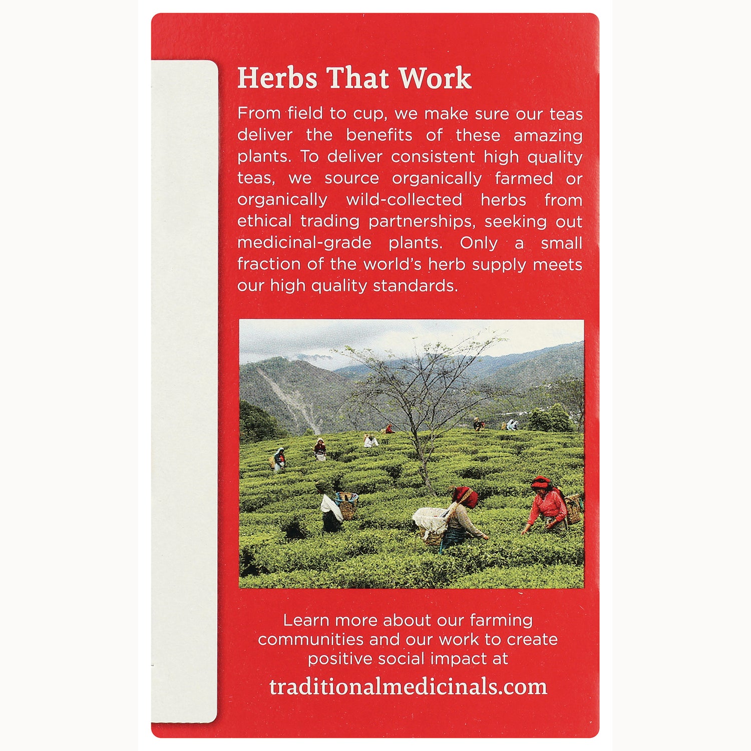 TMD005 | Herbs That Work panel with tea field photo, sourcing and social impact message, traditionalmedicinals.com