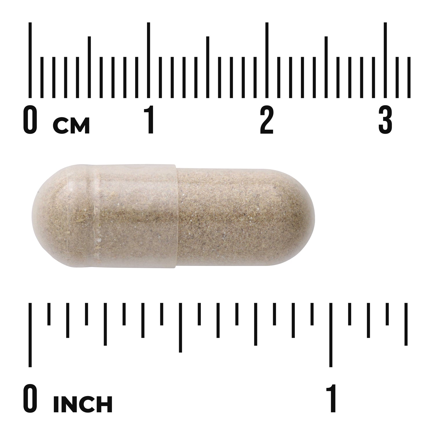 SWC104 | Capsule with beige powder shown to scale with centimeter and inch rulers