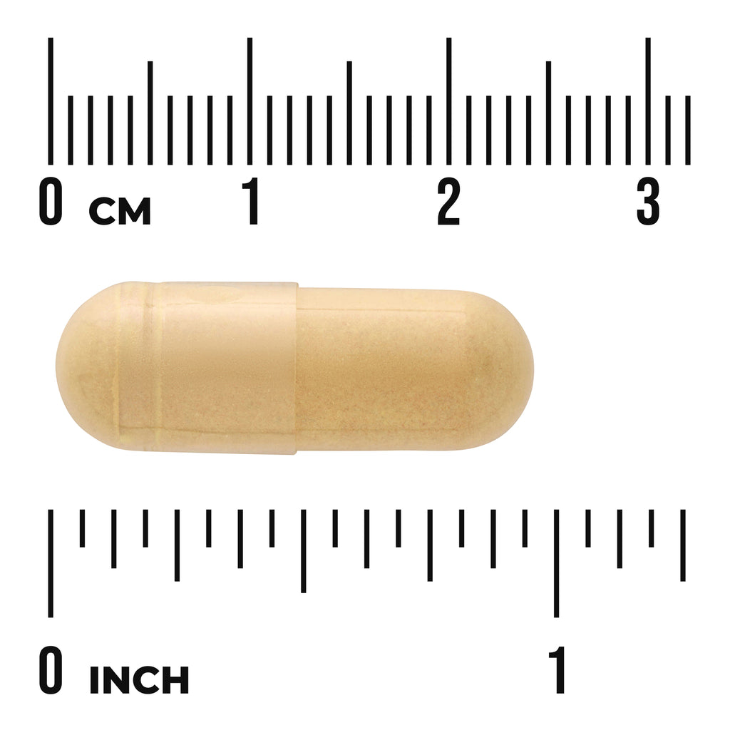 SWC059 | Beige capsule with rulers labeled CM and INCH, showing 03 cm and 01 inch for size reference - Thumbnail