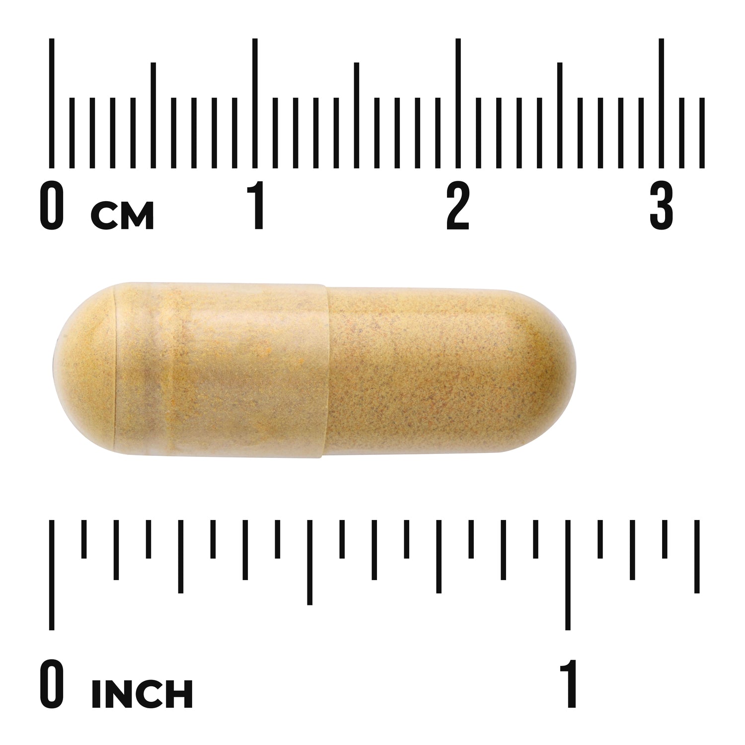 SWK019 | Capsule size shown against rulers: 03 cm and 01 inch
