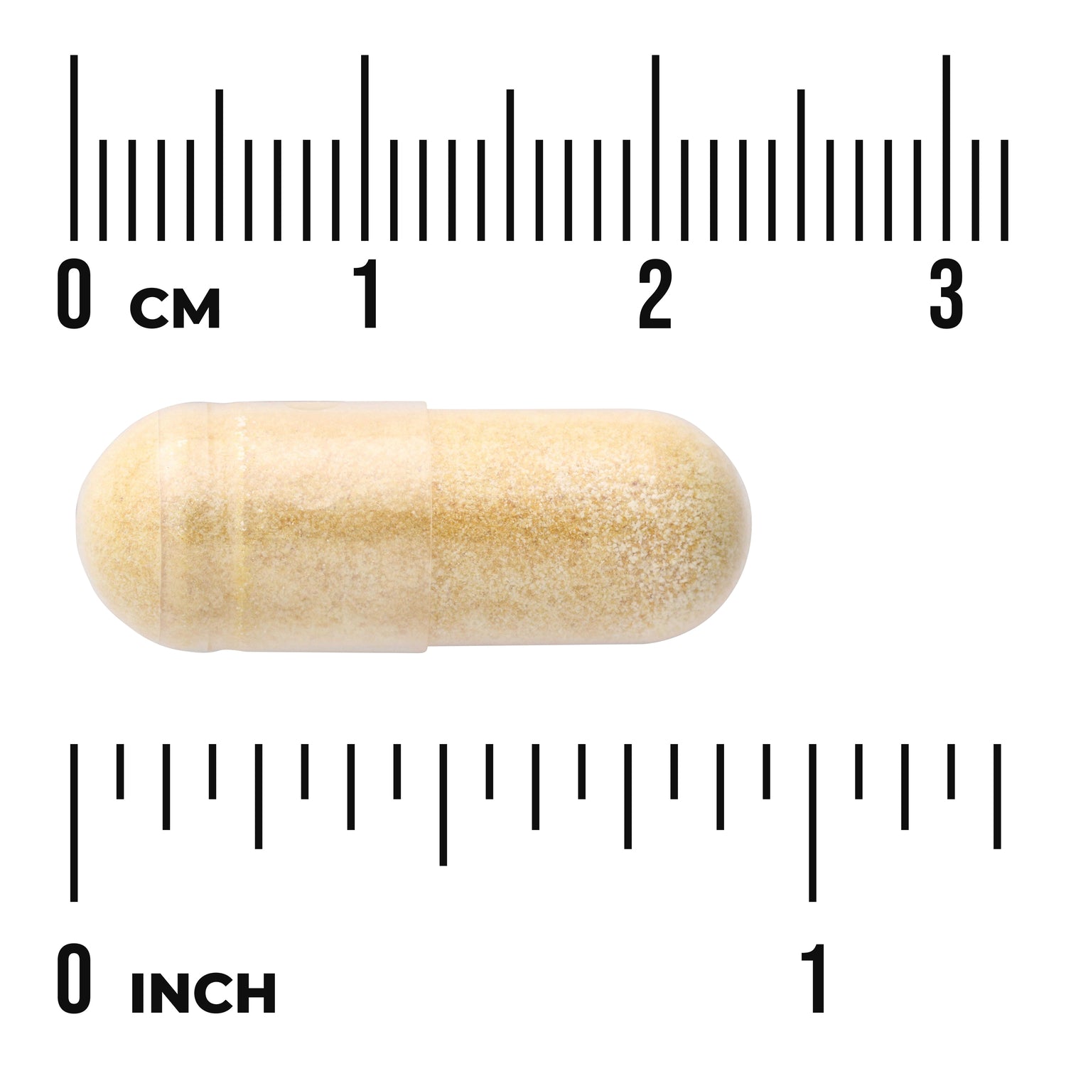 SWH148 | Beige capsule shown with centimeter and inch rulers for size reference