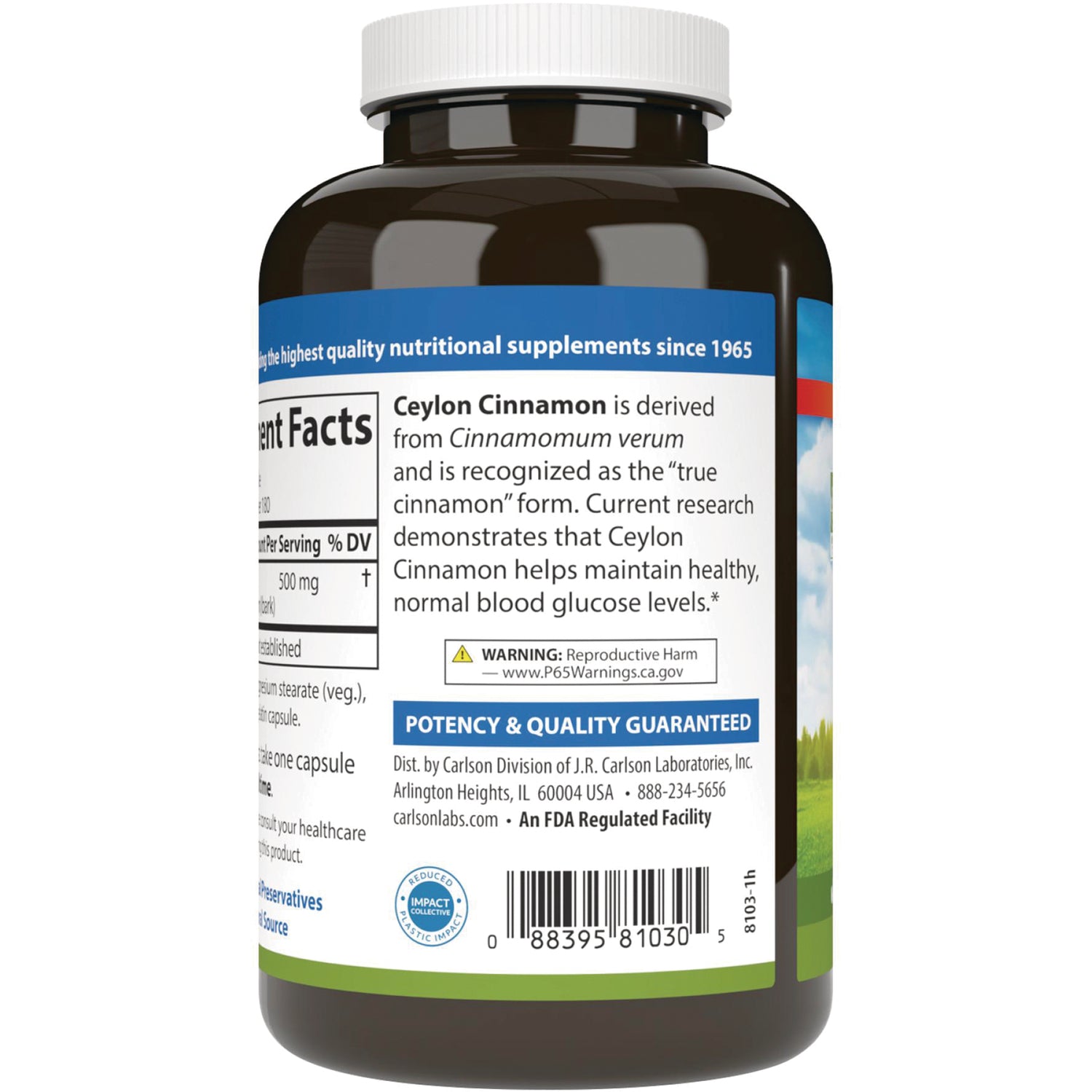 CSN268 | back label of supplement bottle showing Ceylon Cinnamon description, warning box, potency guarantee, and barcode