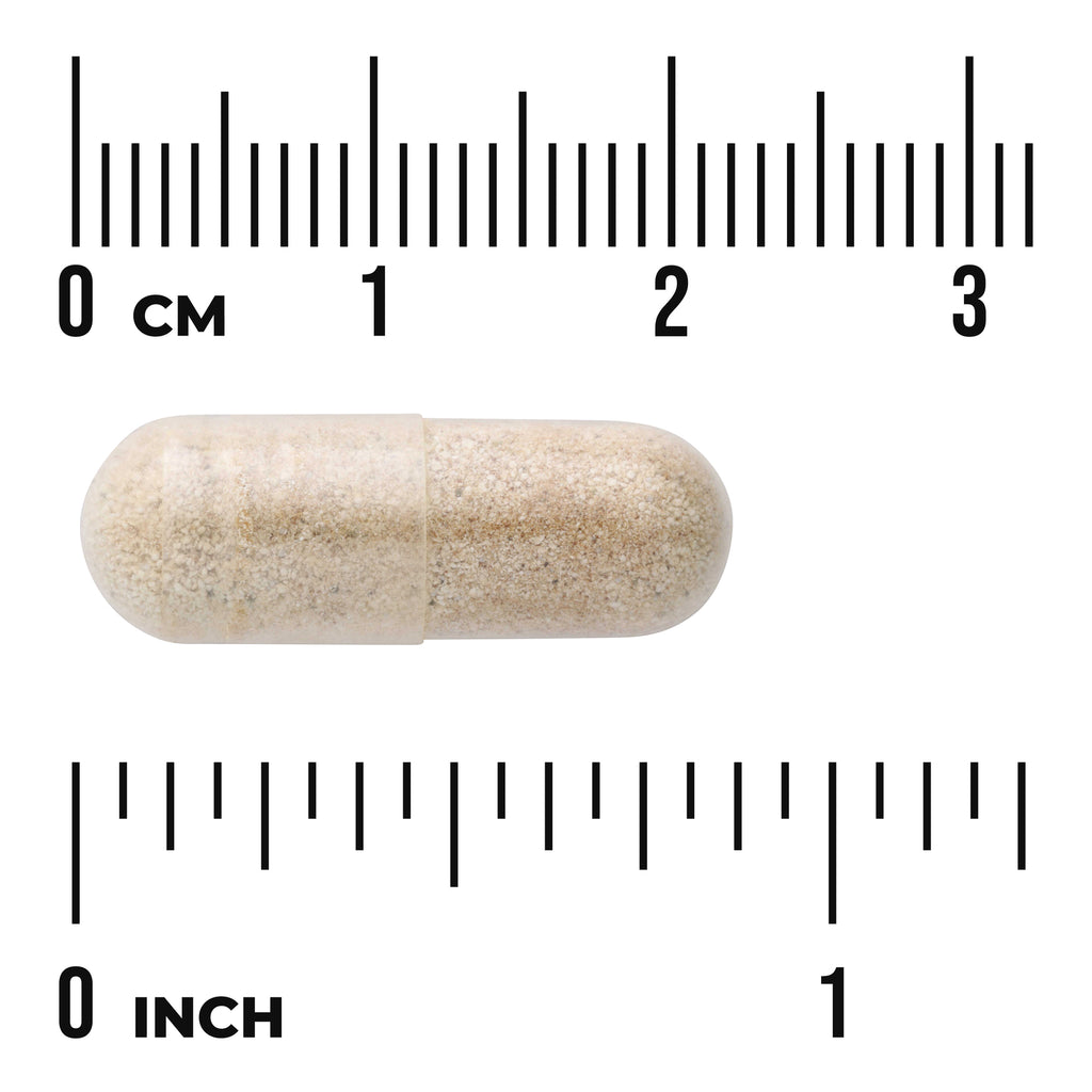 SW1681 | Beige capsule with size scale in centimeters and inches - Thumbnail