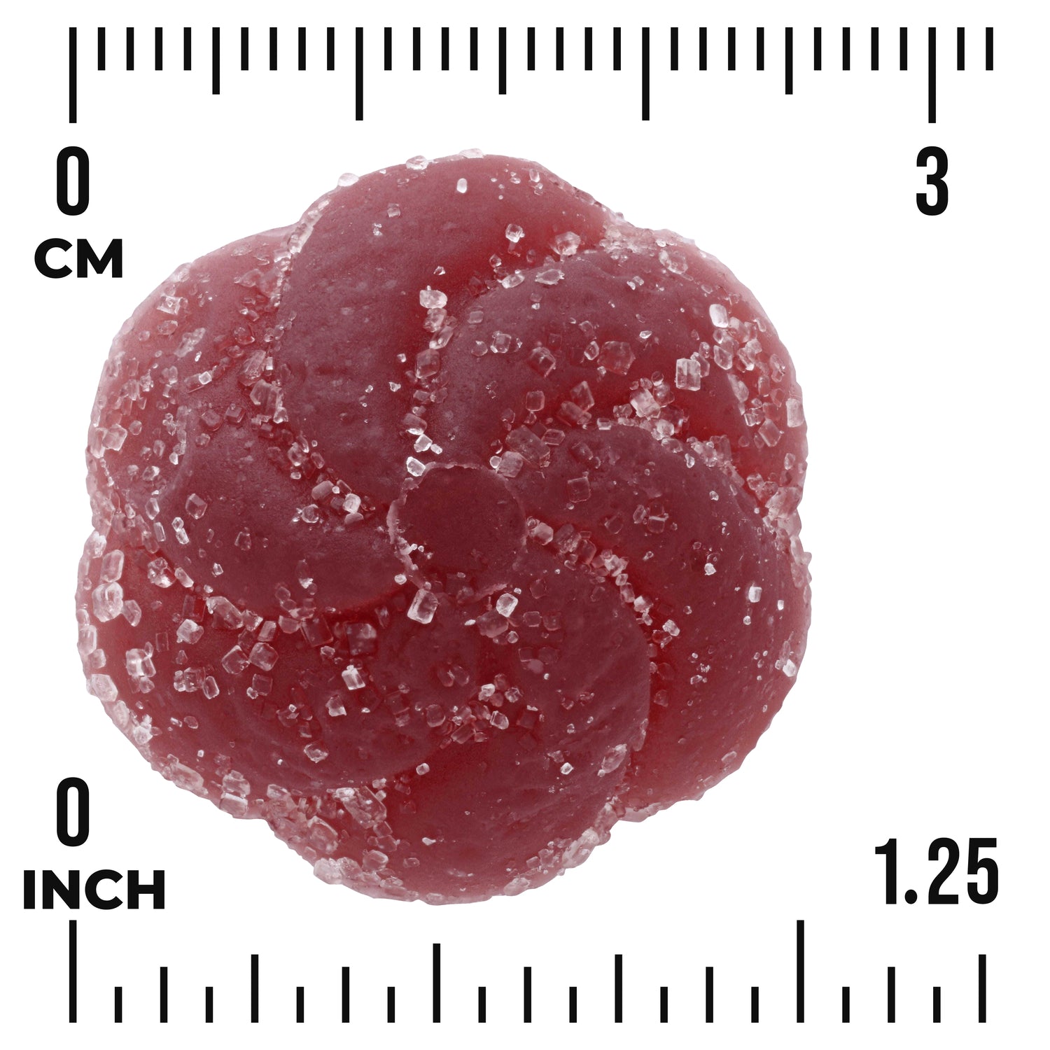 SW1904 | Red sugar-coated gummy form shown with size scale in cm and inches