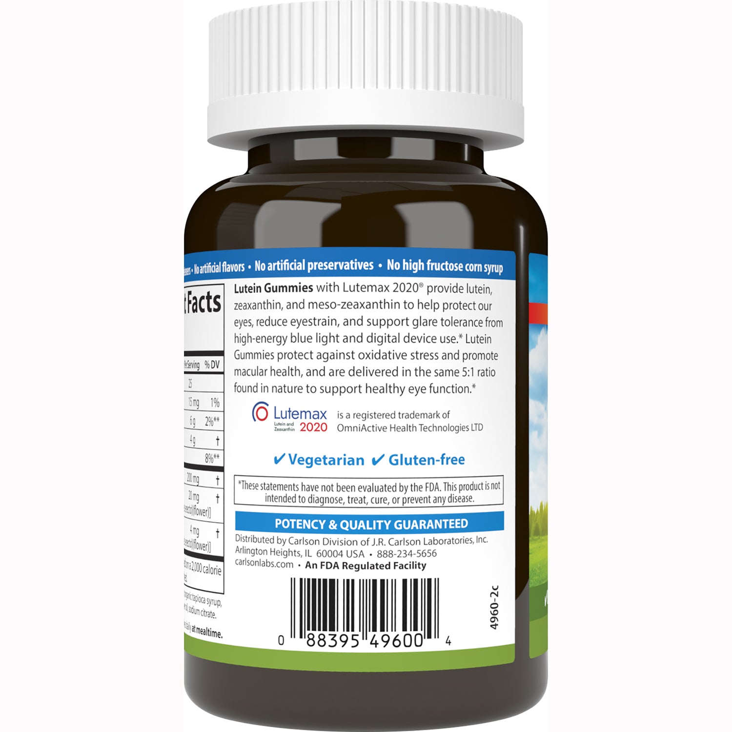 CSN282 | back label of brown supplement bottle showing nutrition text, vegetarian and gluten-free icons and barcode