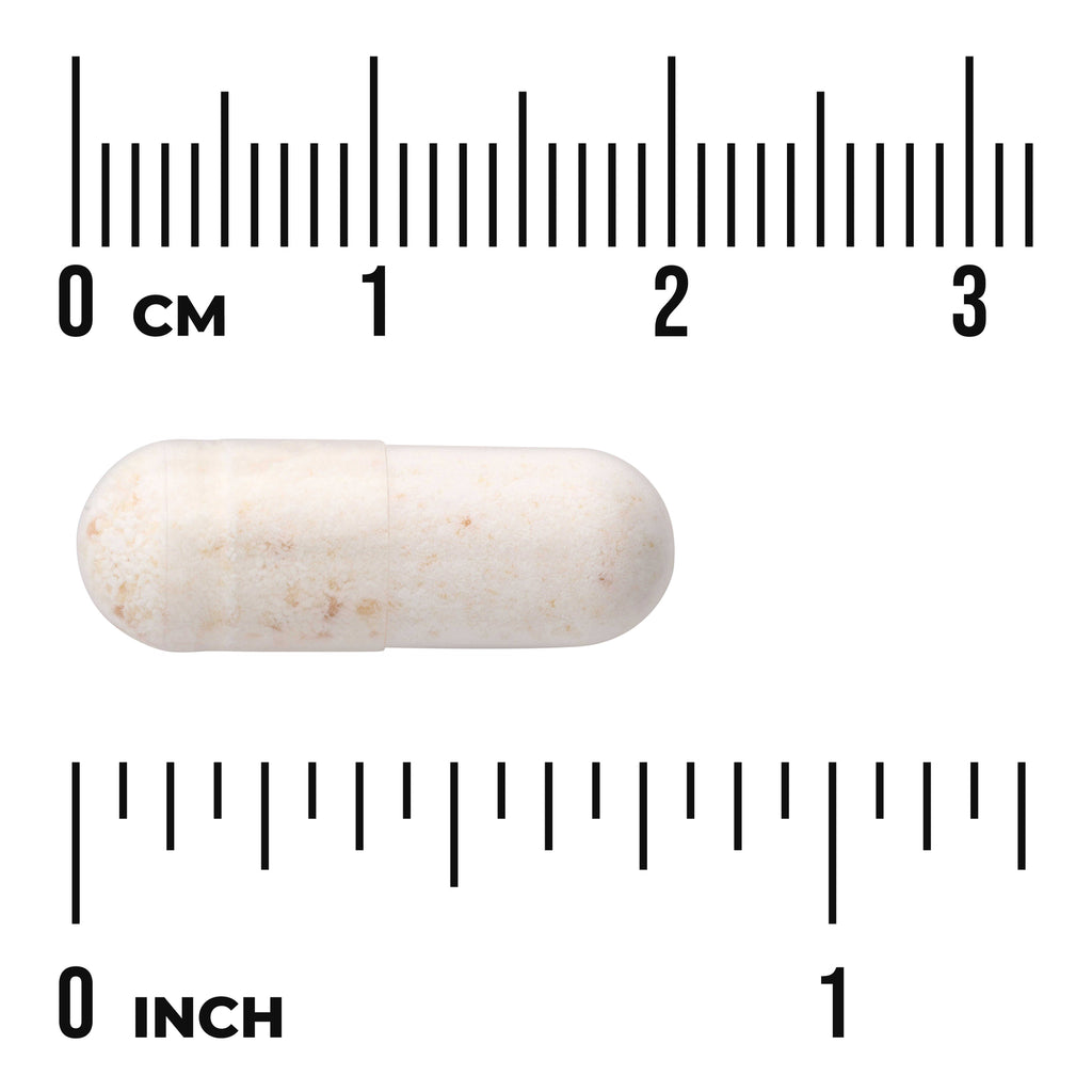 SWU534 | White speckled capsule on ruler background with visible centimeter and inch markings - Thumbnail