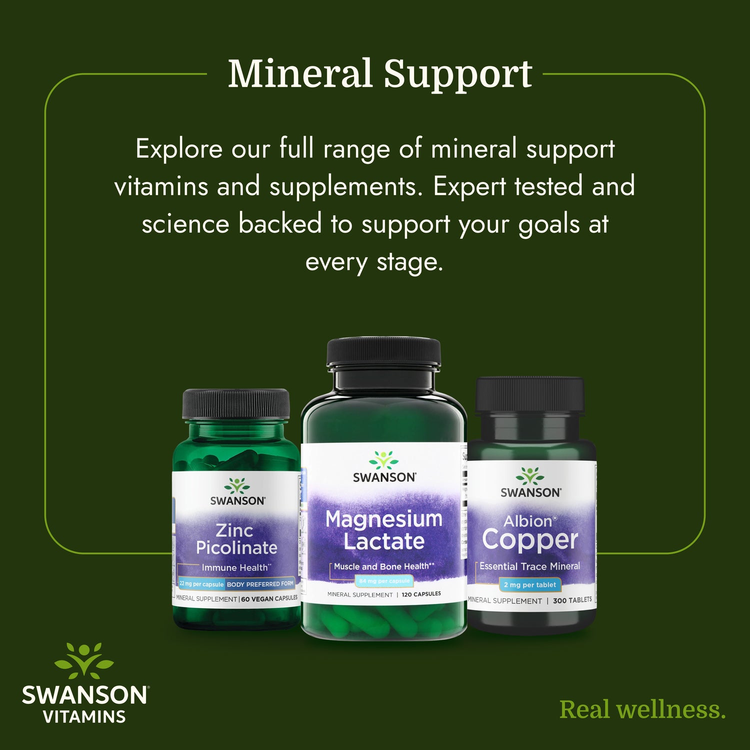 SW1525 | Swanson Minerals support infographic with Zinc Picolinate, Magnesium Lactate, and Albion Copper bottles