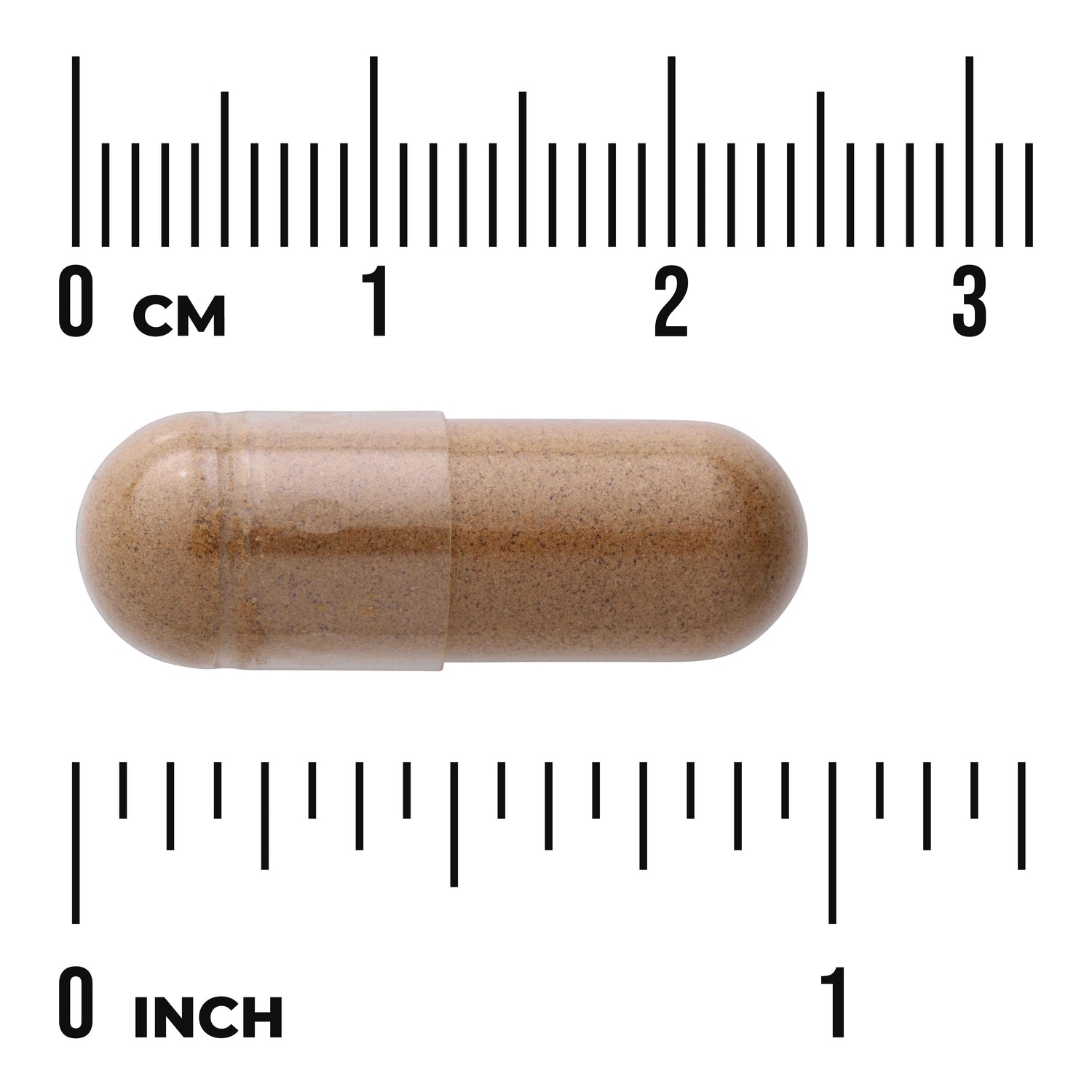 SW1096 | Brown capsule shown with size scale in inches and centimeters