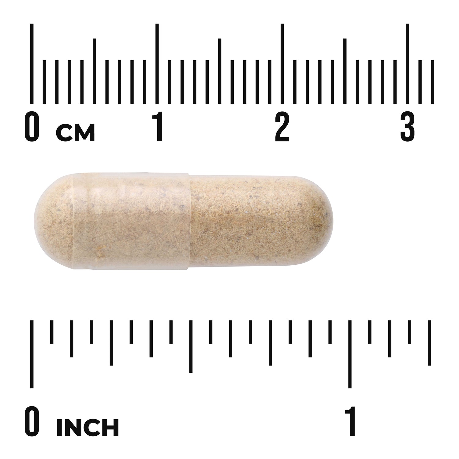 SW1133 | Capsule size reference with rulers in cm and inches