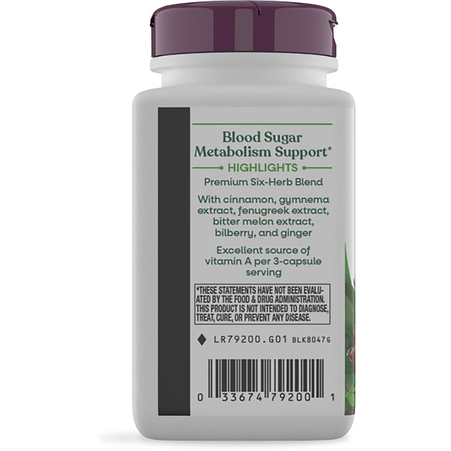 NW579 | Back label of supplement bottle showing Blood Sugar Metabolism Support text, ingredients list and barcode