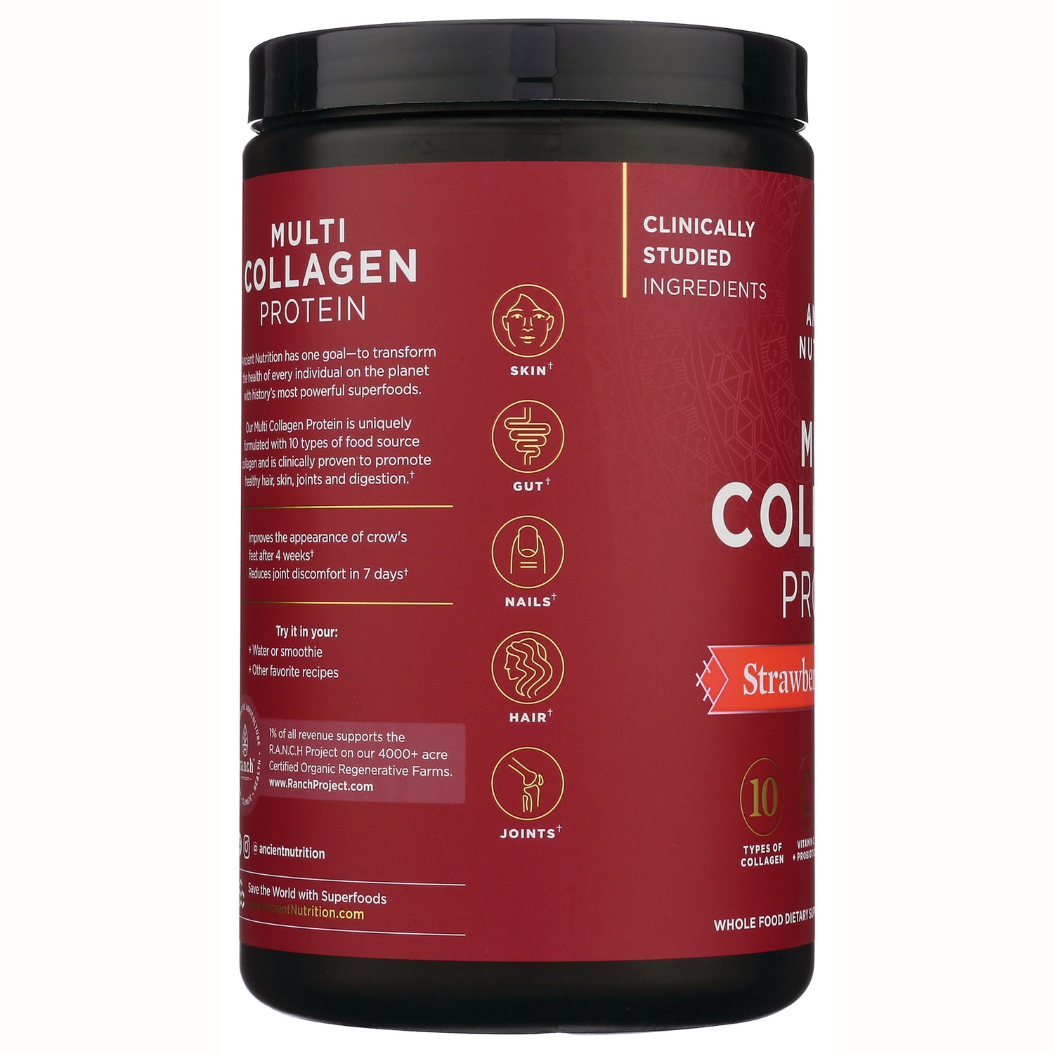 ATN102 | Multi Collagen Protein label with icons for skin, gut, nails, hair, joints and Clinically Studied Ingredients
