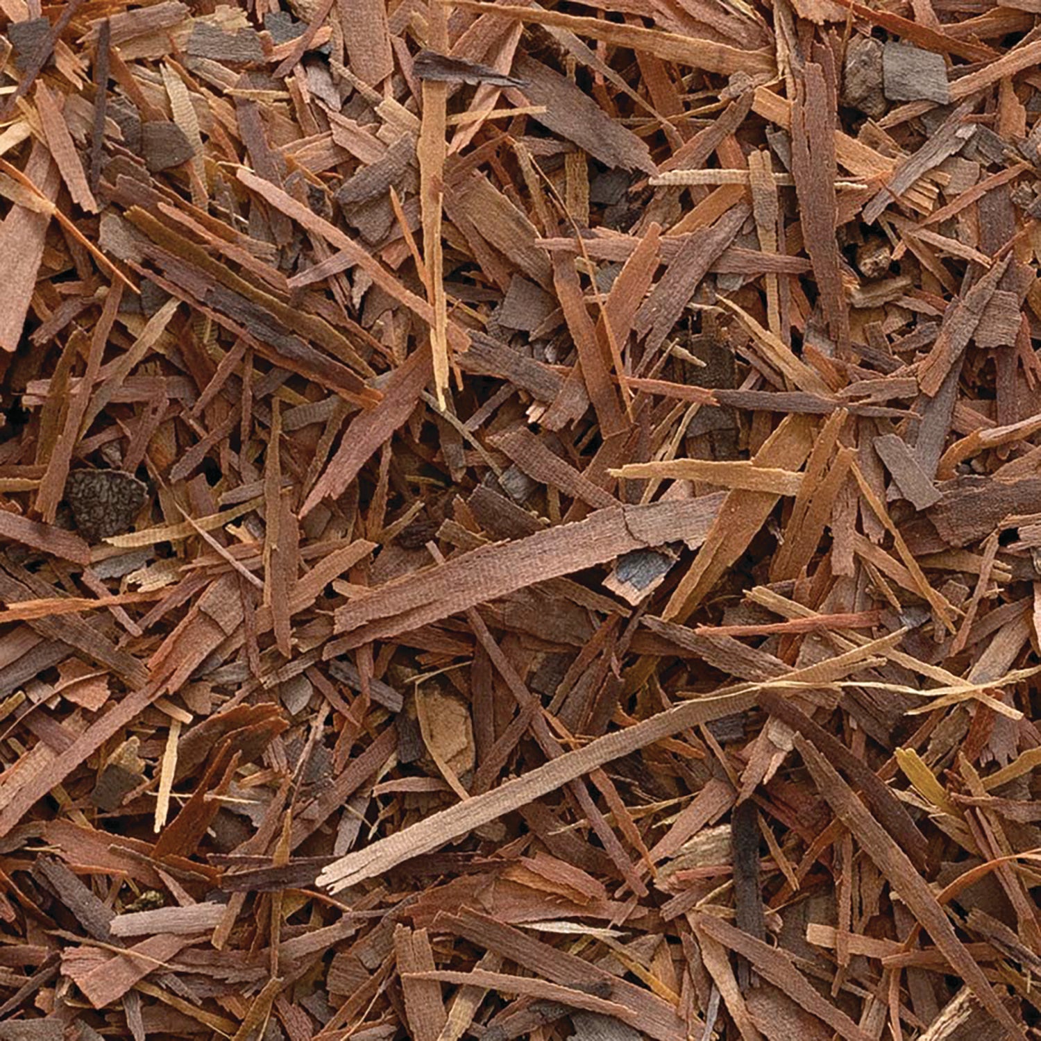 FNP279 | close-up of brown cedar mulch shavings showing varied sizes and textures